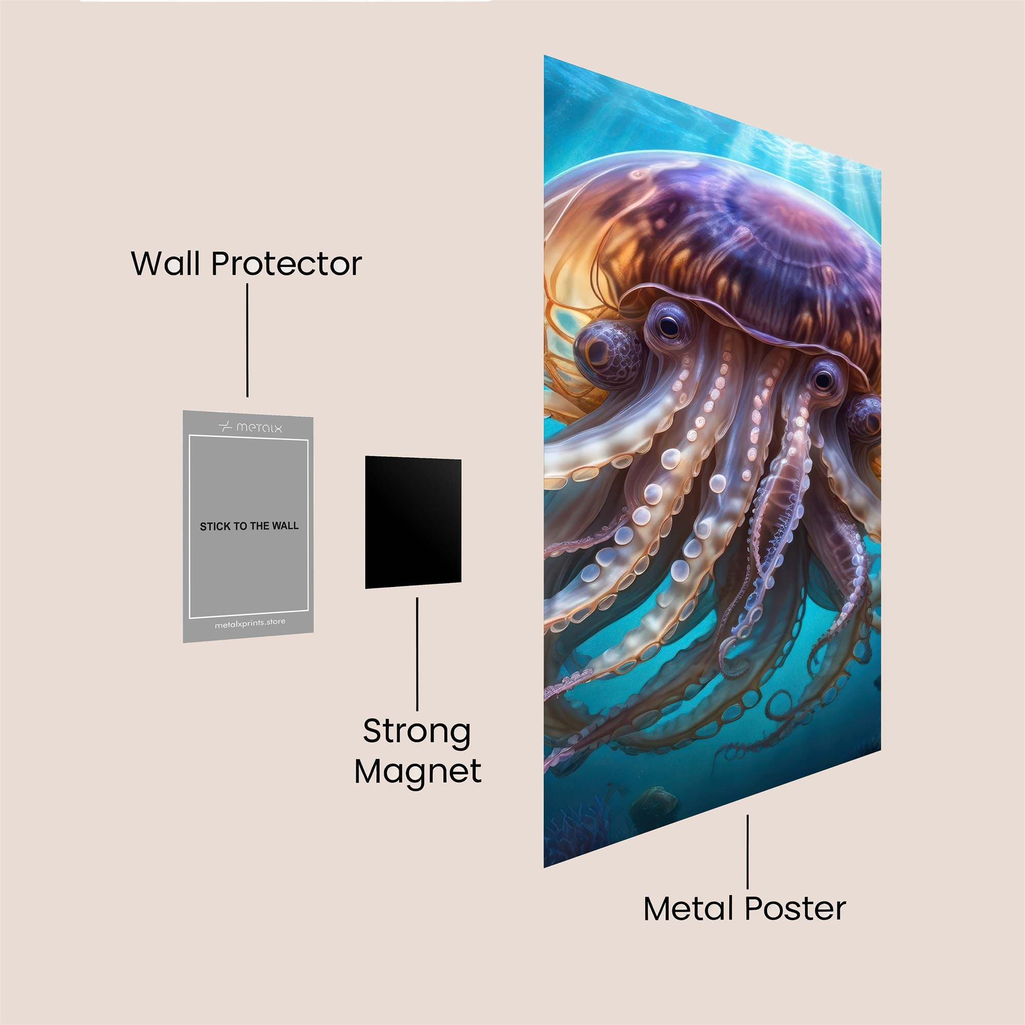 Jelly Radiance Safe Wall Magnetic / M