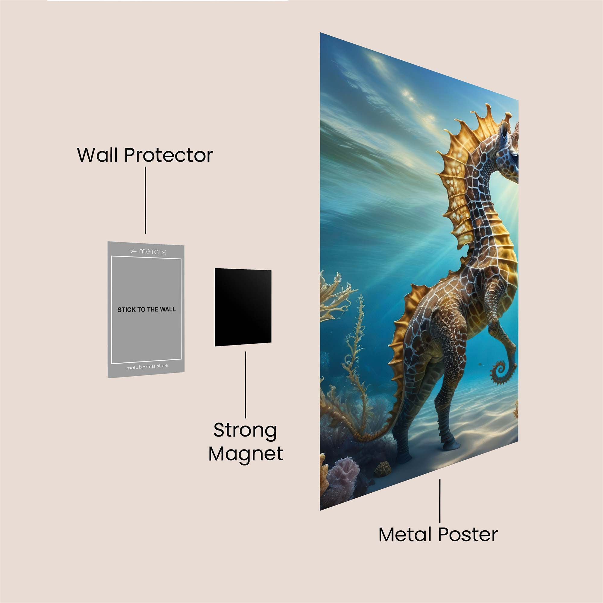 Seahorse Serenity Safe Wall Magnetic / M