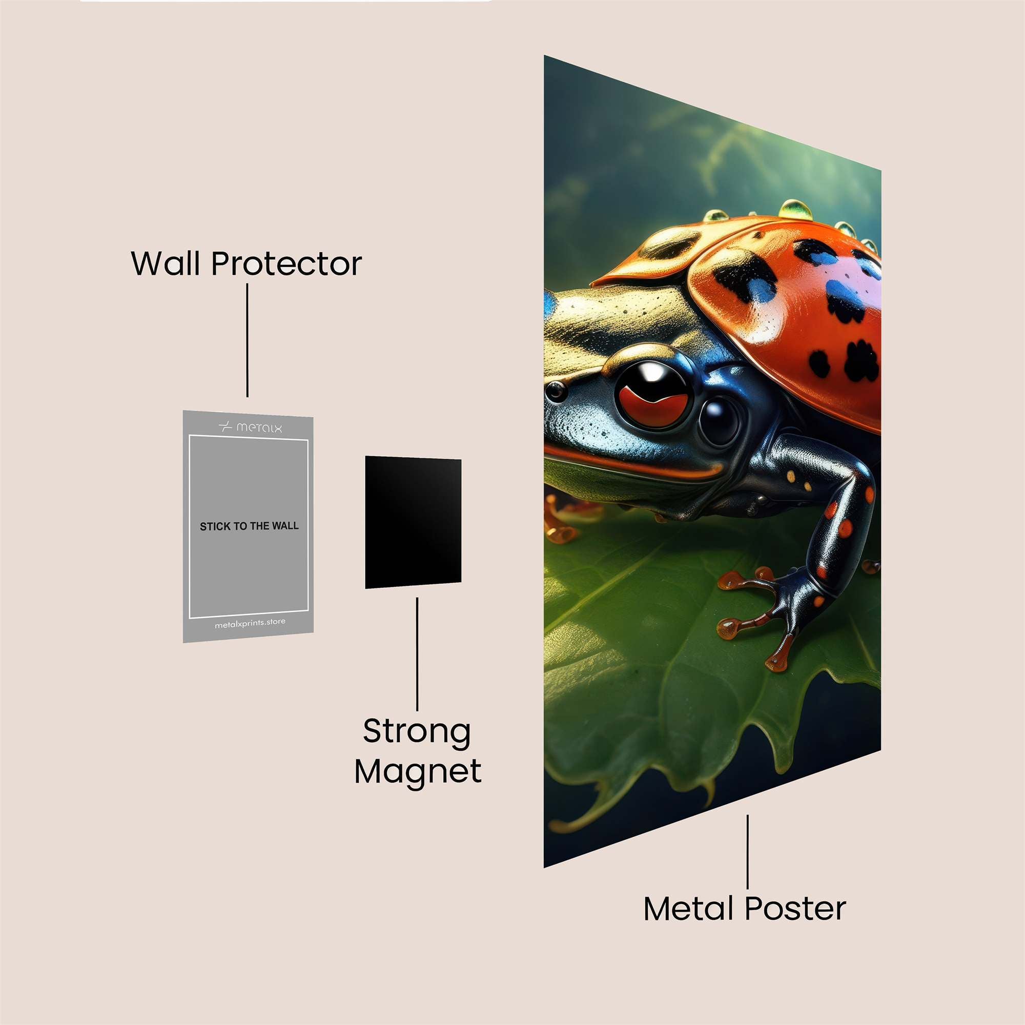 Frog Marvel Safe Wall Magnetic / M