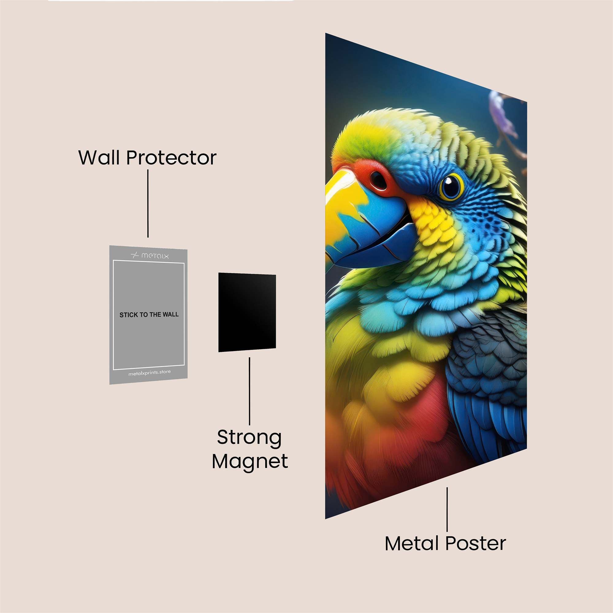 Rainbow Whimsy Safe Wall Magnetic / M