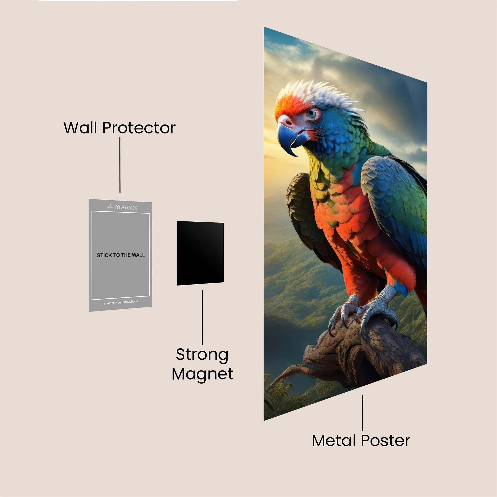 Macaw Majesty Safe Wall Magnetic / M