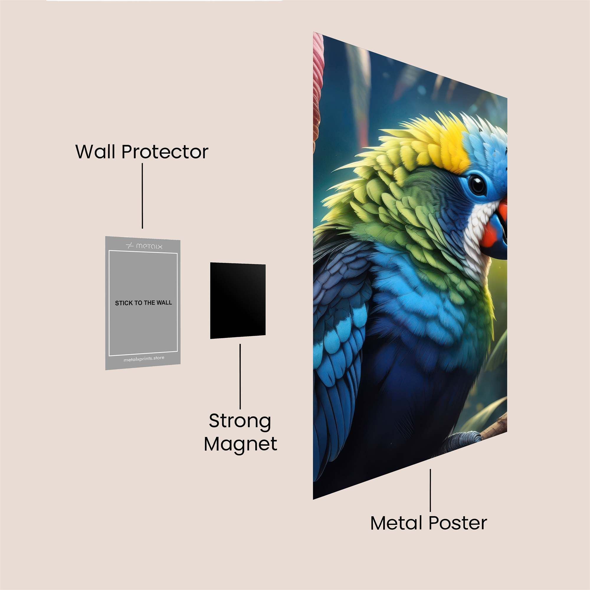 Parrot Whimsy Safe Wall Magnetic / M