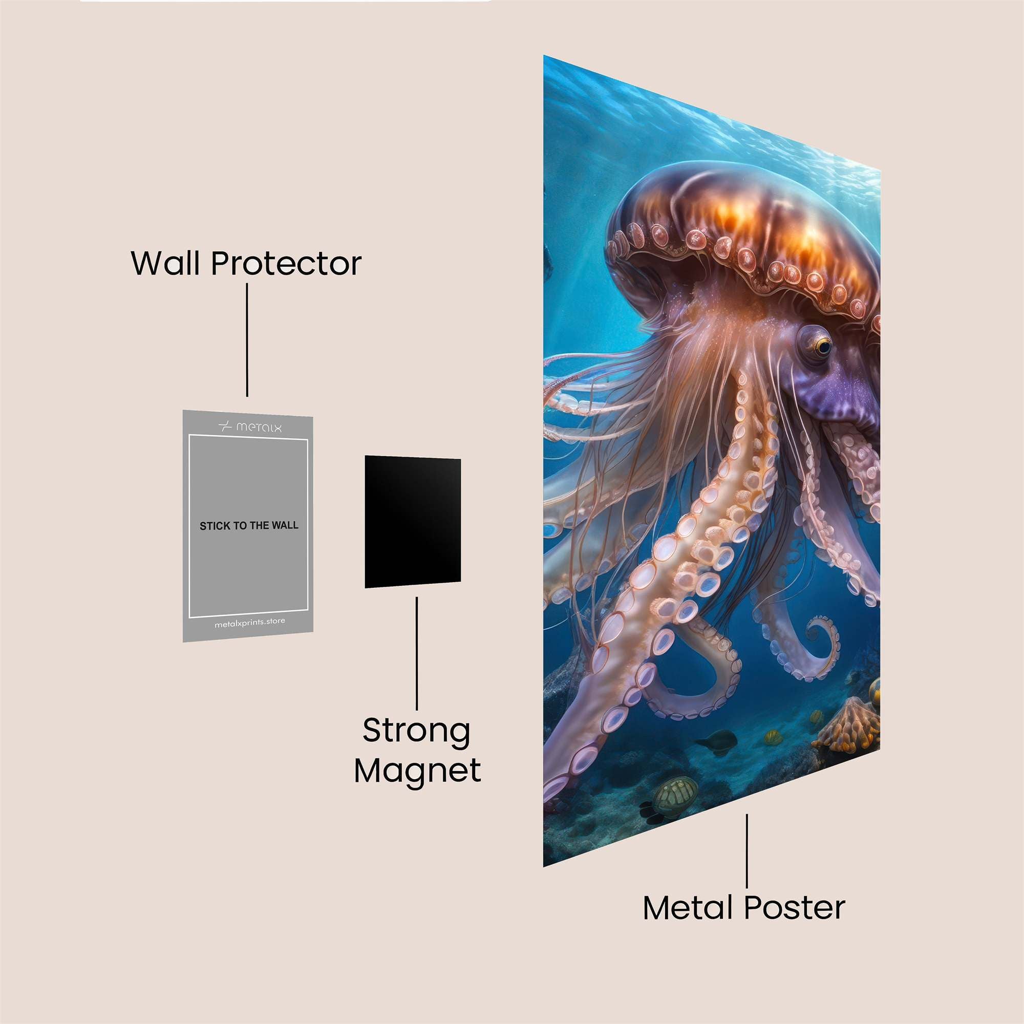 Jelly Majesty Safe Wall Magnetic / M