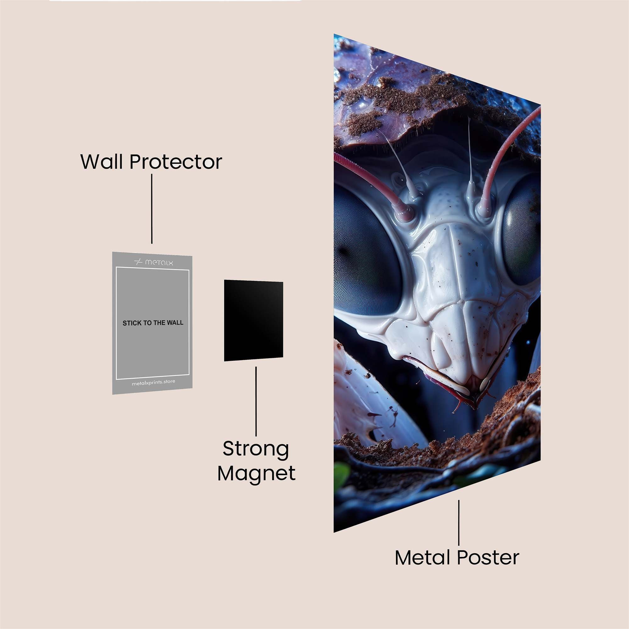Mantis Mystery Safe Wall Magnetic / M