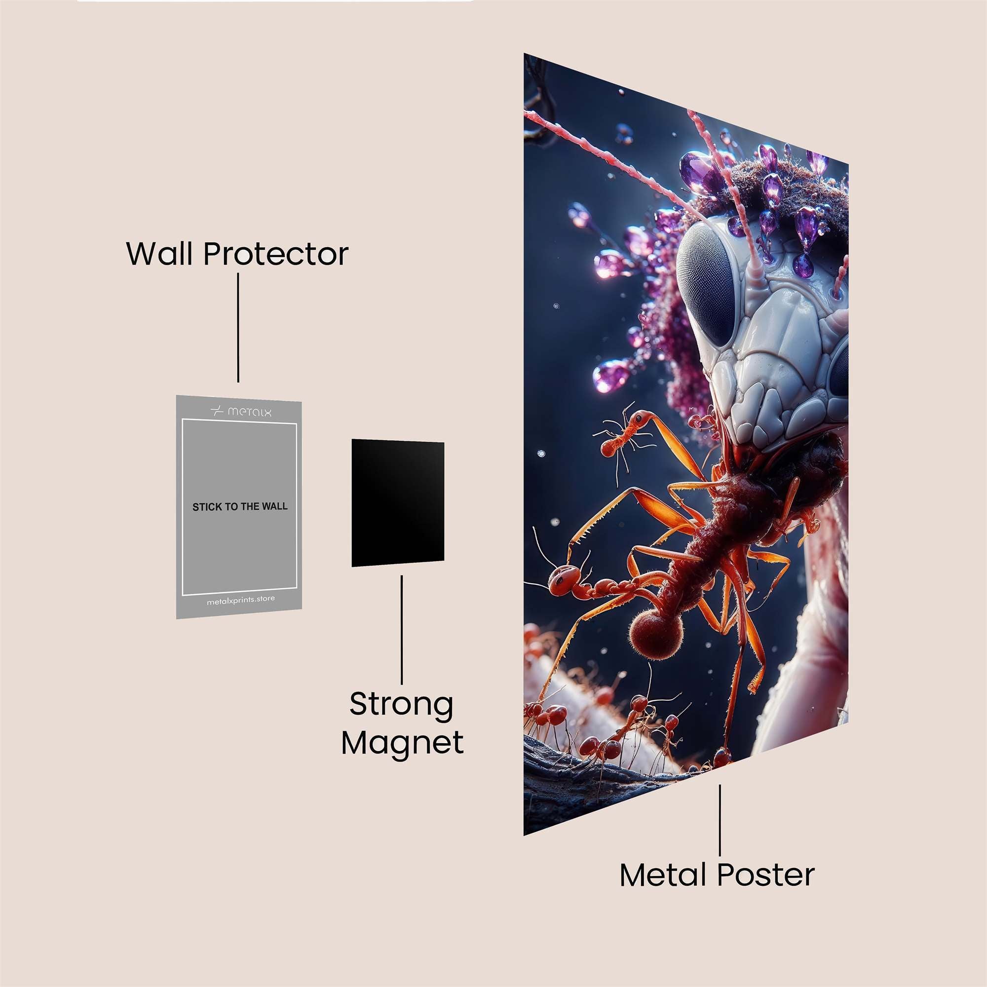 Ant Queen Safe Wall Magnetic / M