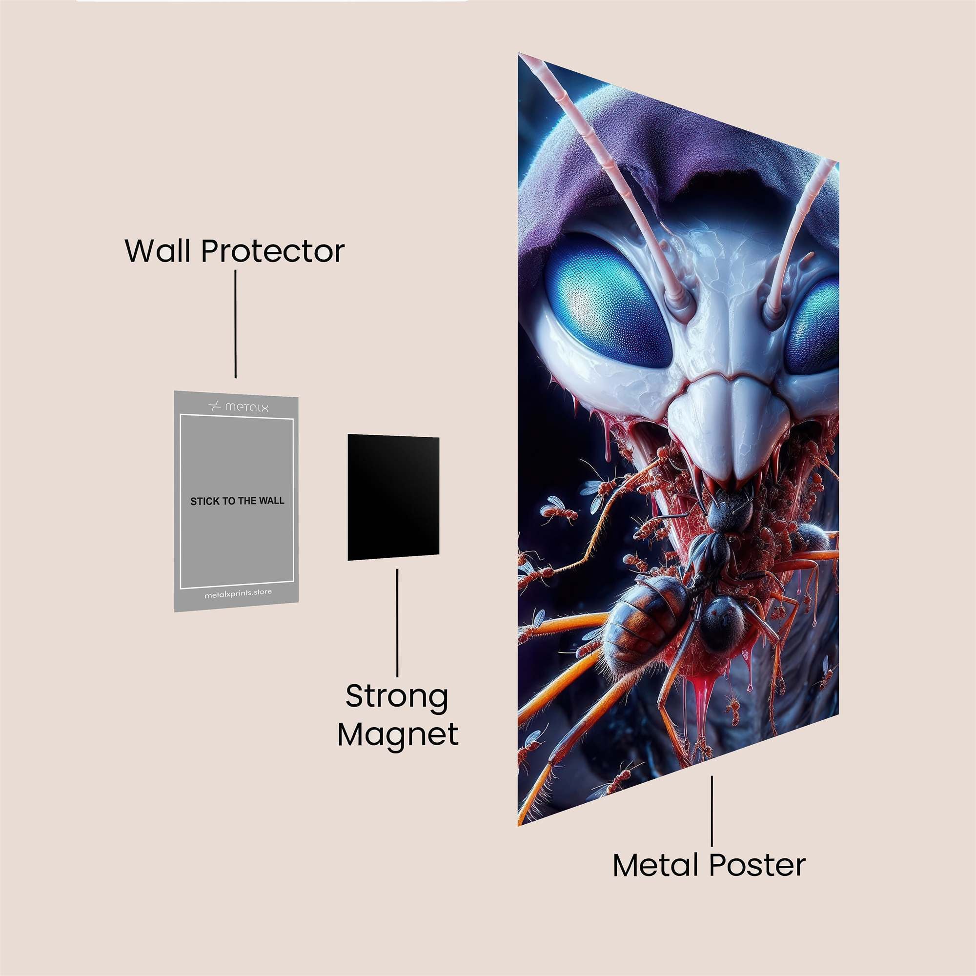 Ant Overlord Safe Wall Magnetic / M