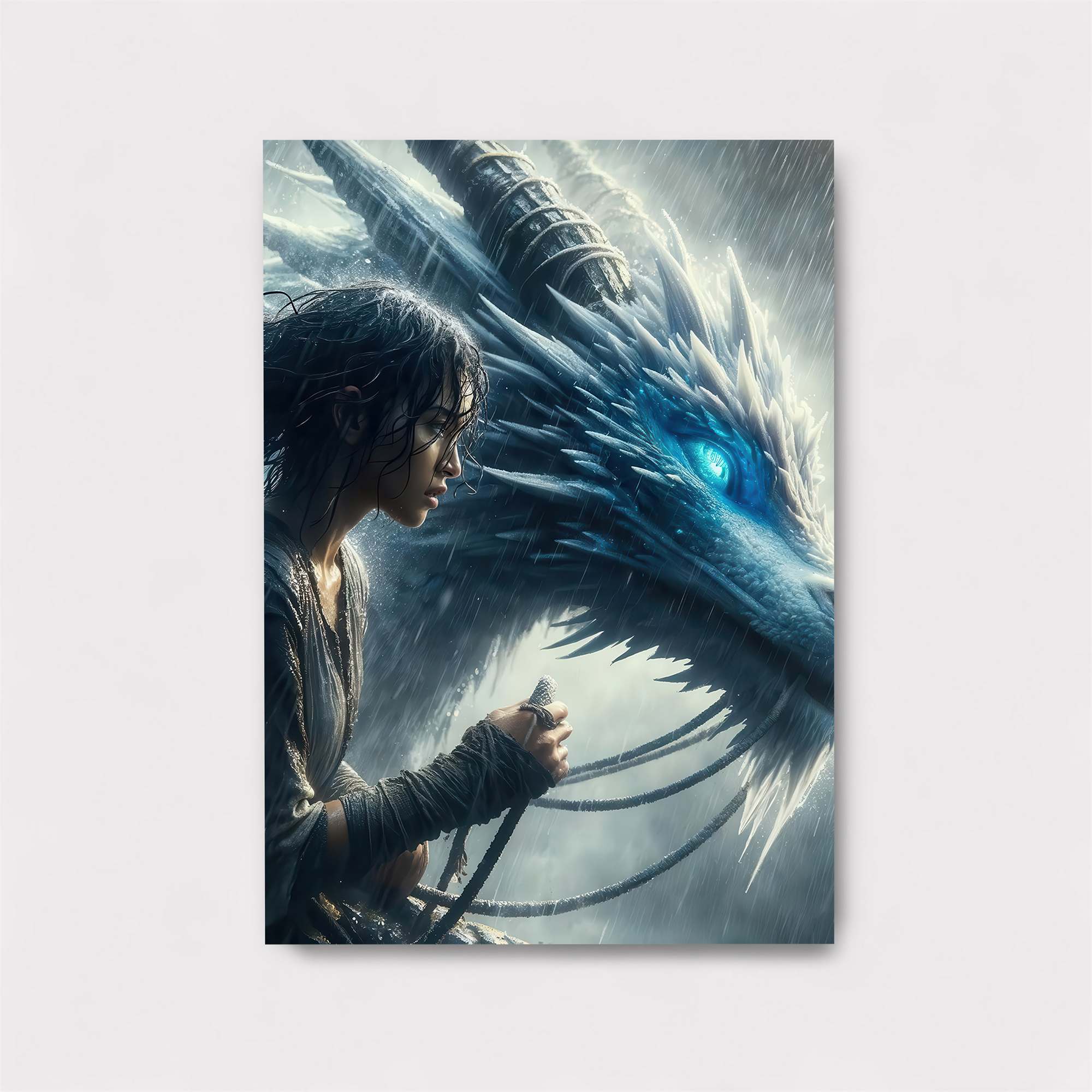 Dragon Whisper Safe Wall Magnetic / M