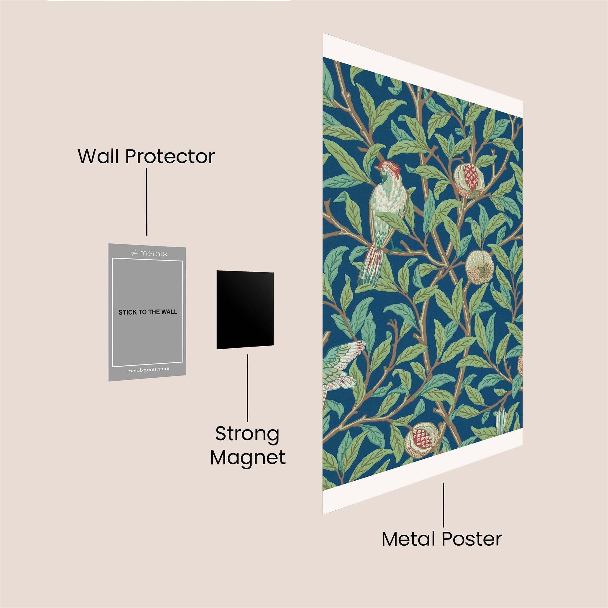 Parrot Serenity Safe Wall Magnetic / M