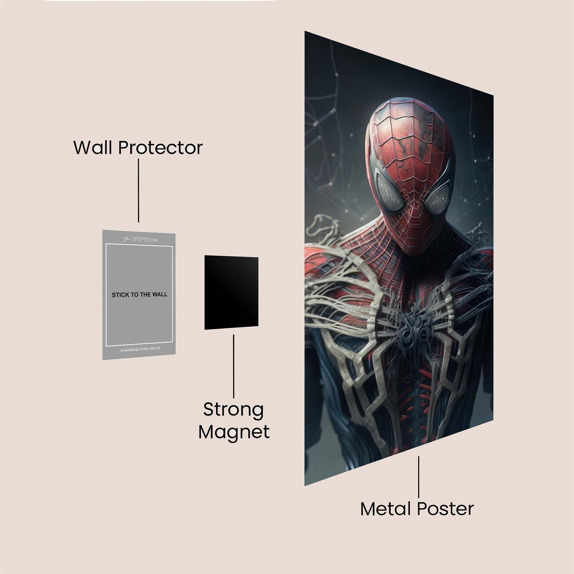Spider Dread Safe Wall Magnetic / M