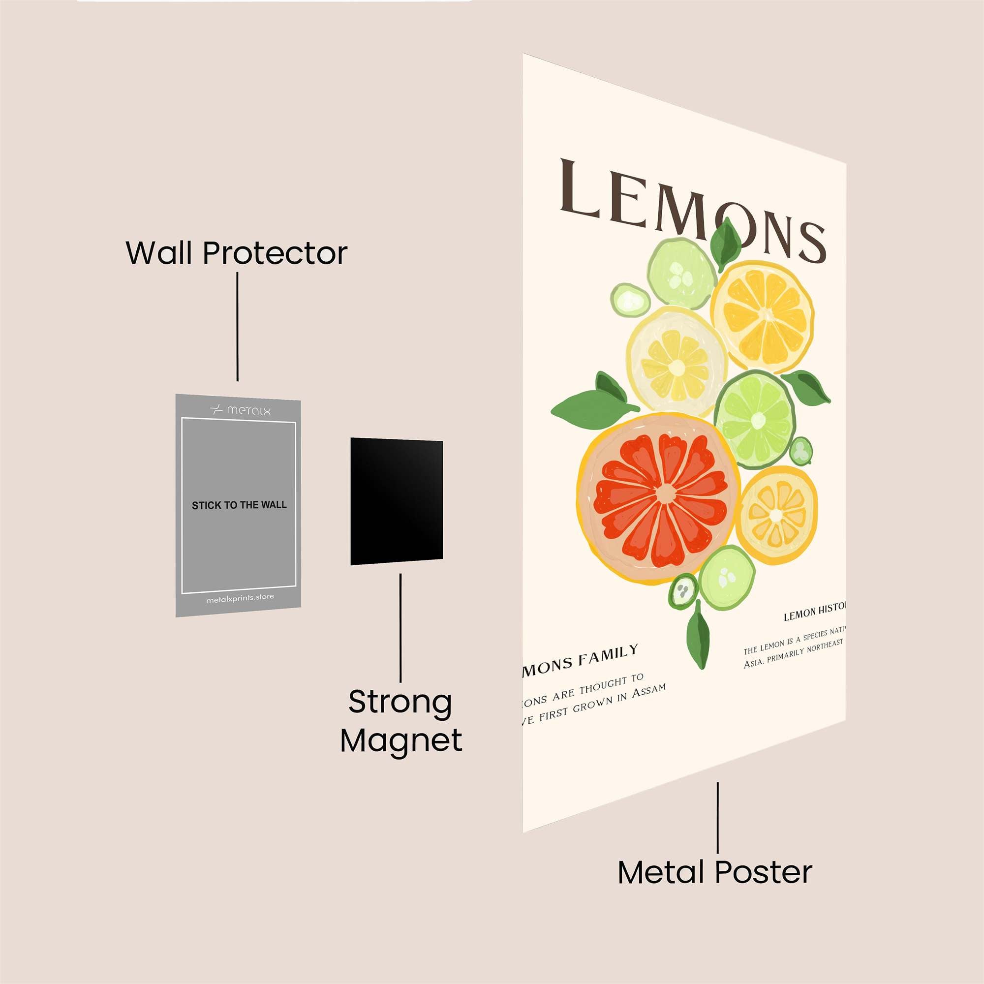 Citrus Symphony Safe Wall Magnetic / M