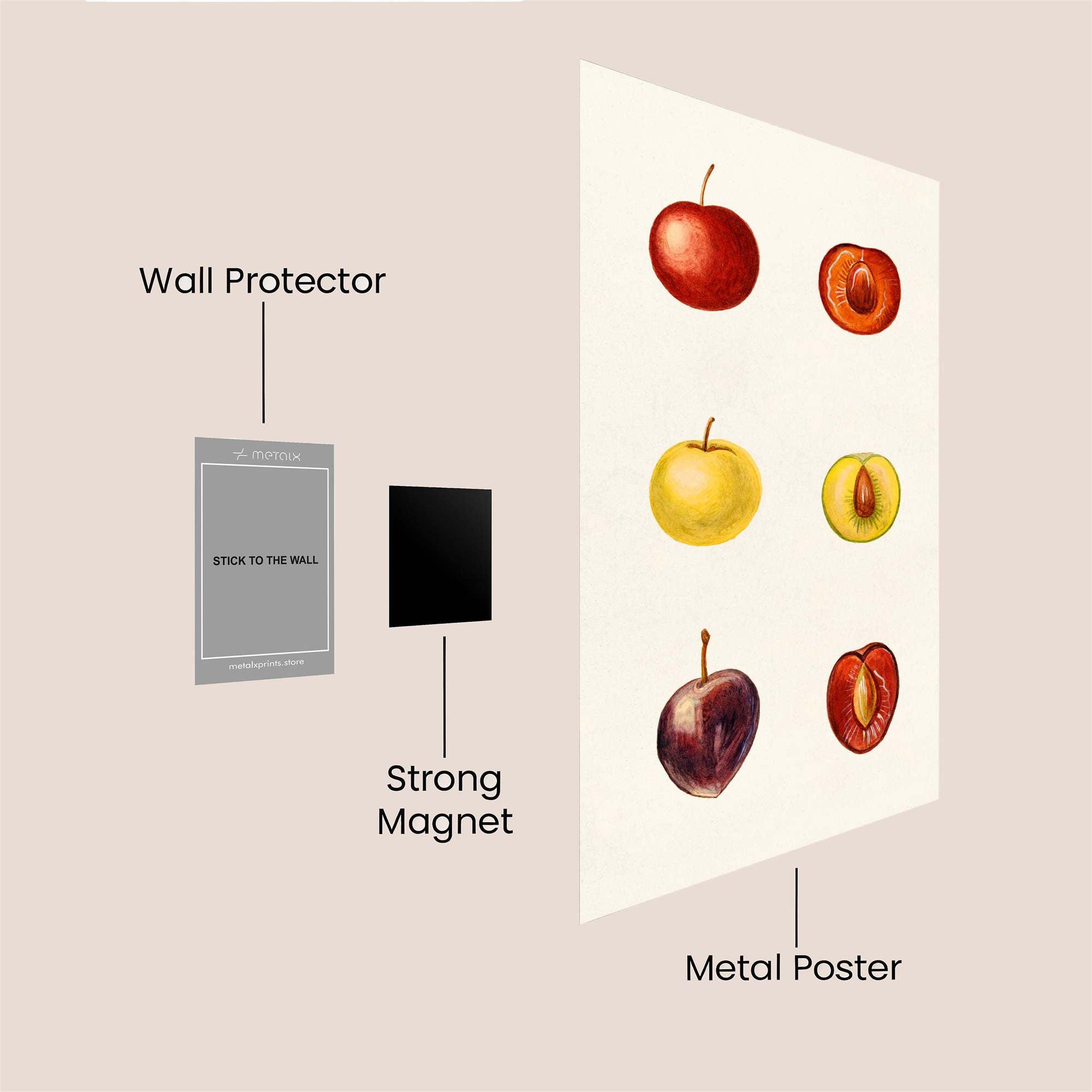 Fruitful Harmony Safe Wall Magnetic / M