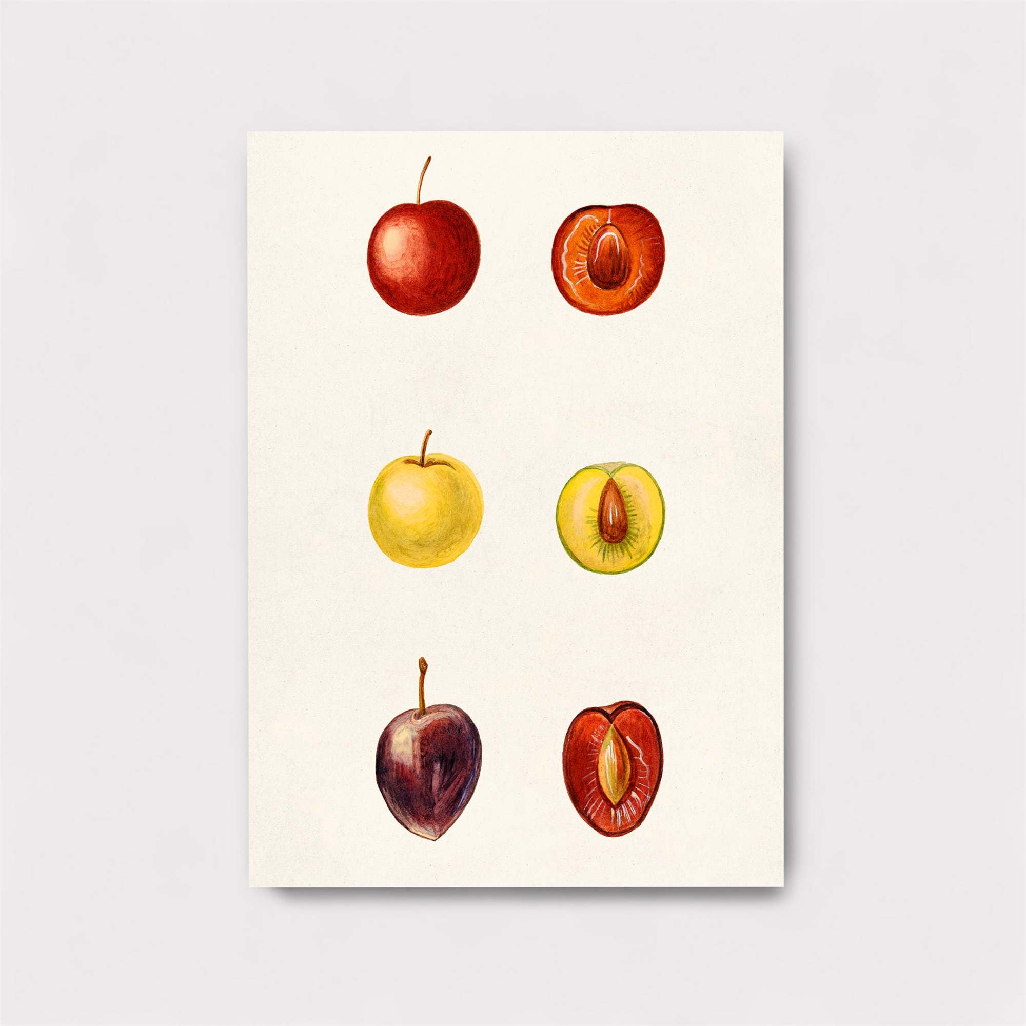 Fruitful Harmony Safe Wall Magnetic / M
