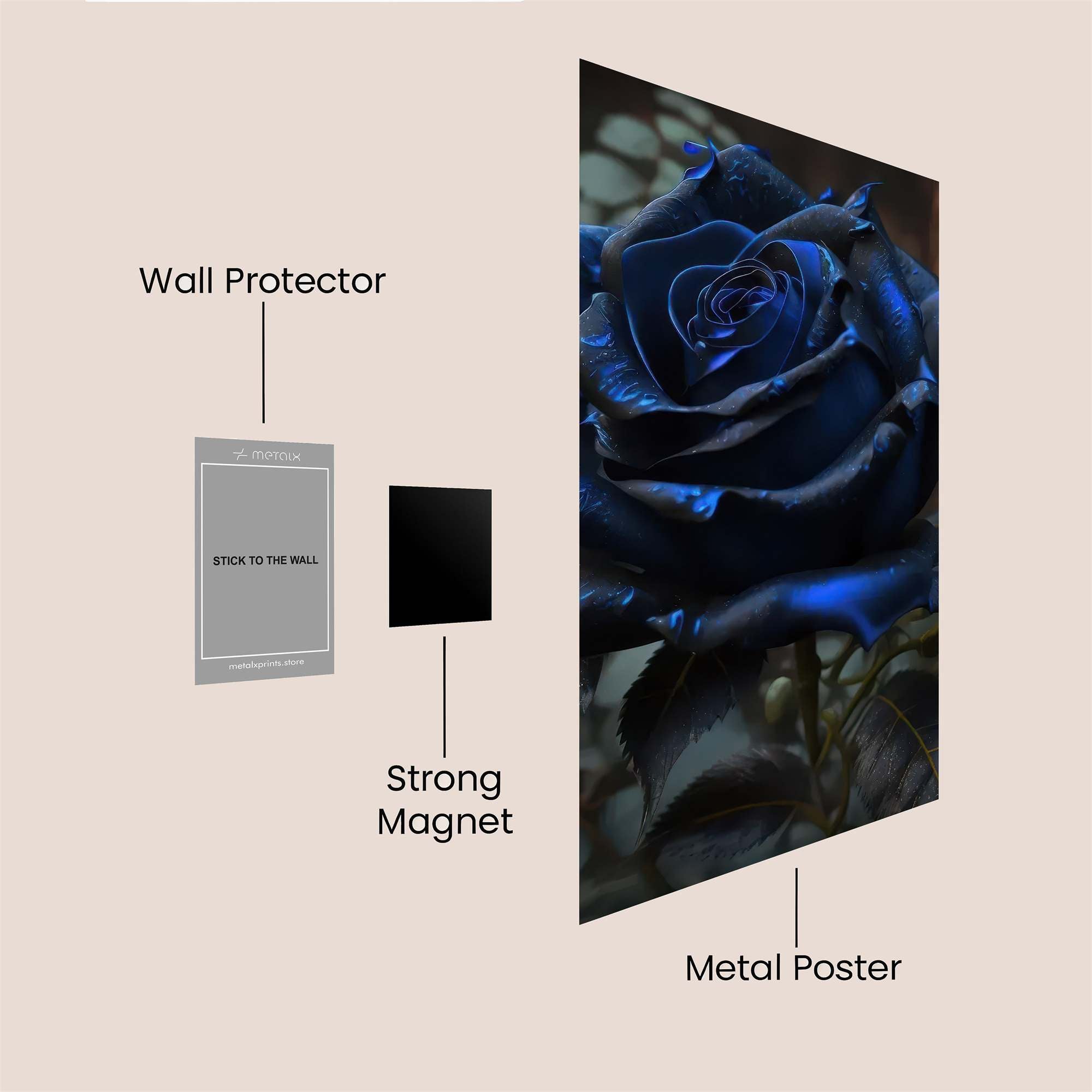 Blue Enigma Safe Wall Magnetic / M