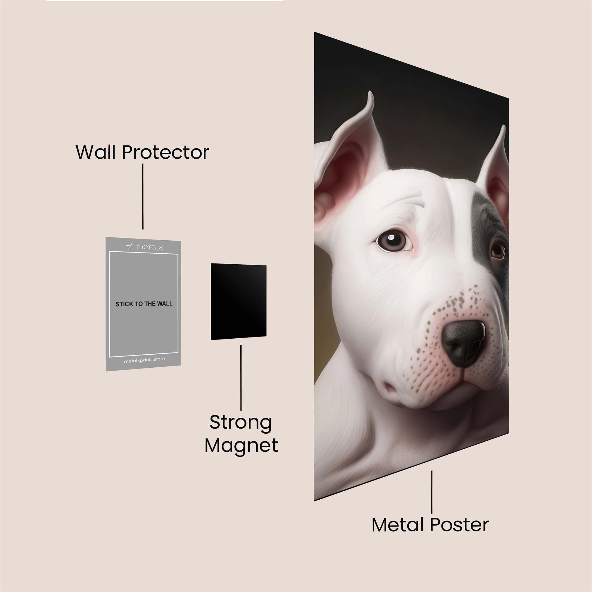 Pup Wonder Safe Wall Magnetic / M