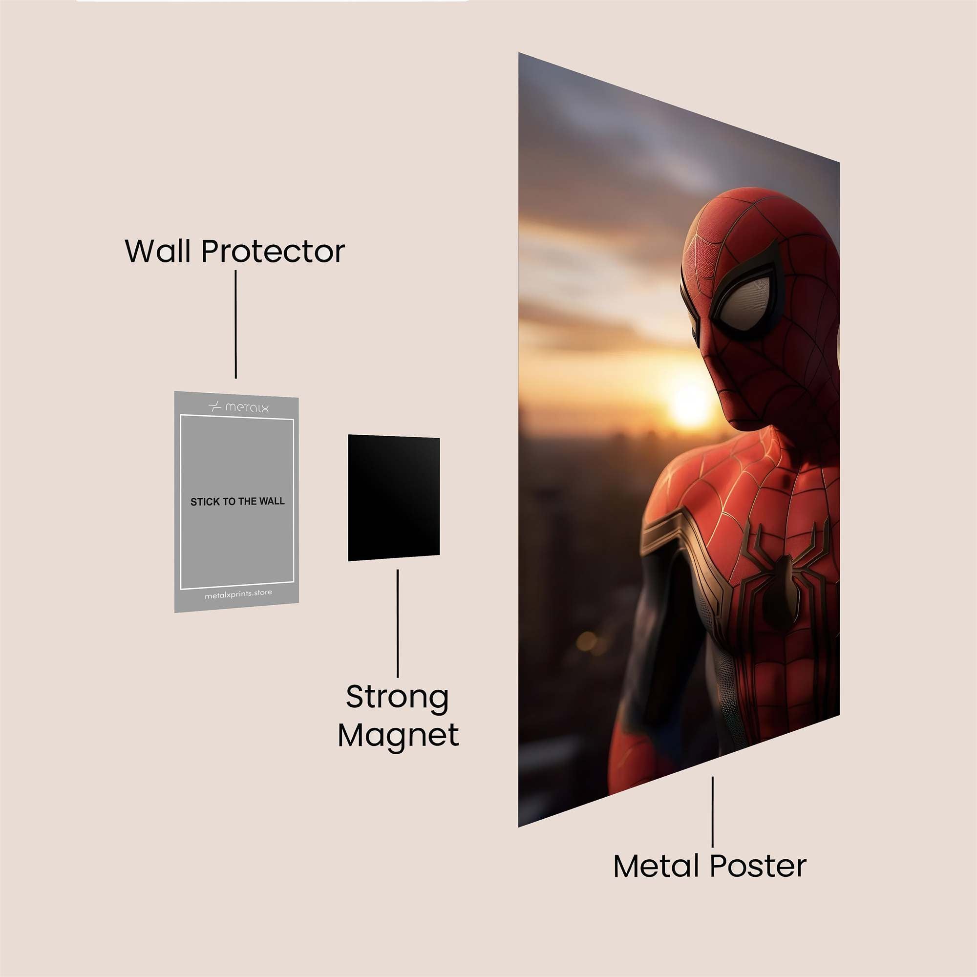 Spider Twilight Safe Wall Magnetic / M