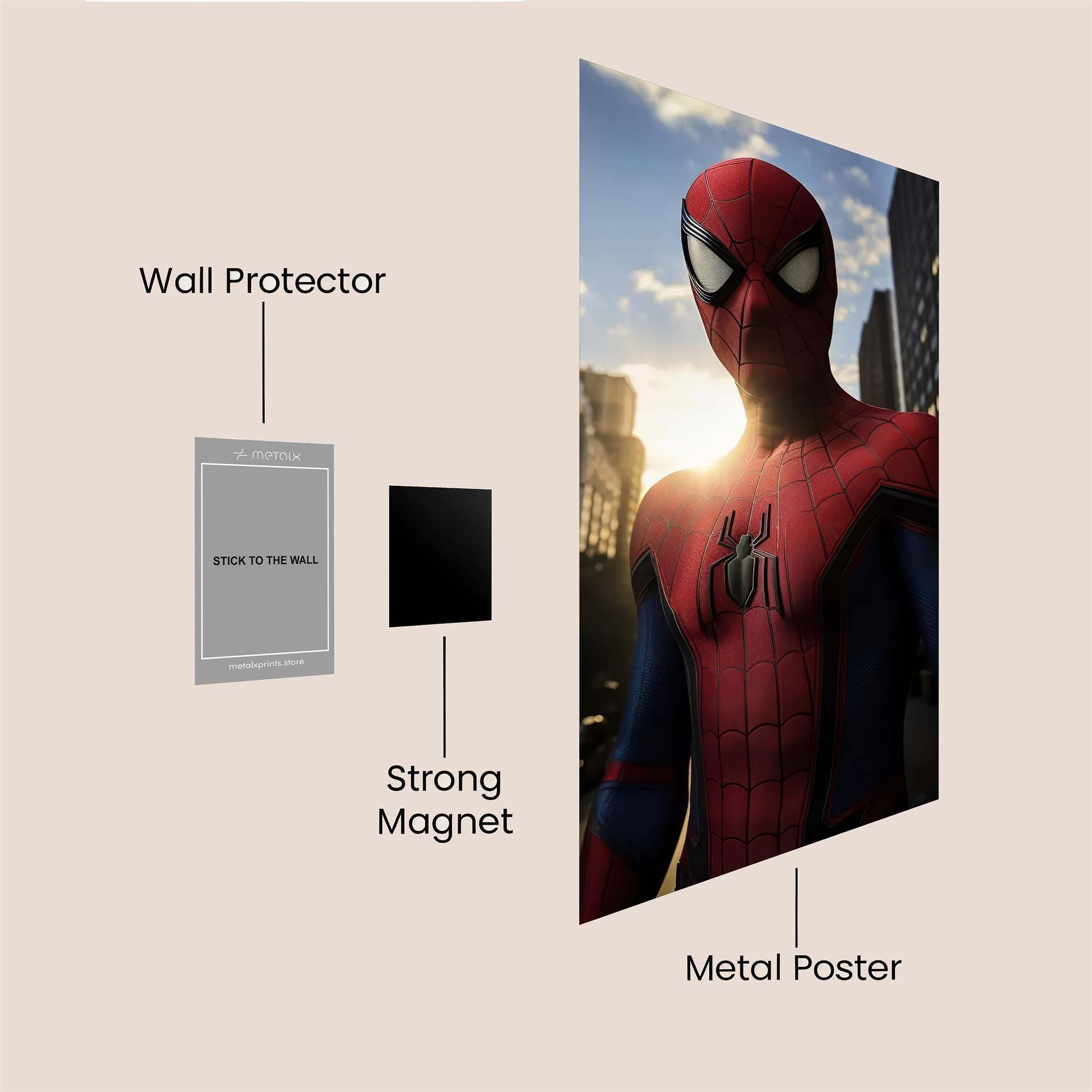 Spider Twilight Safe Wall Magnetic / M