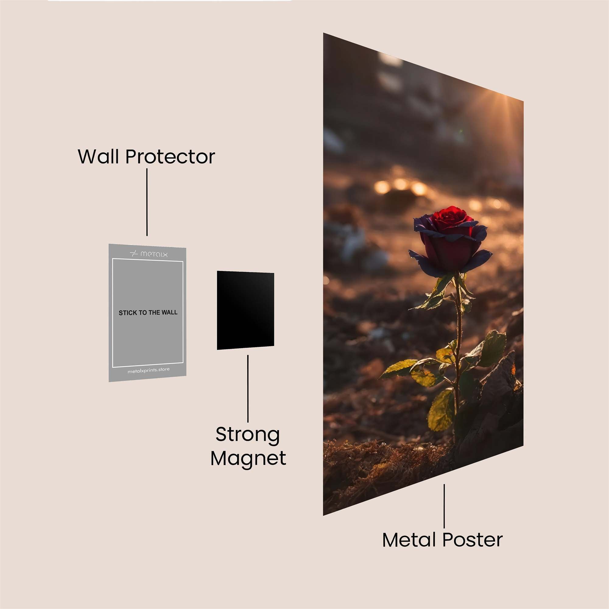 Rose Resilient Safe Wall Magnetic / M