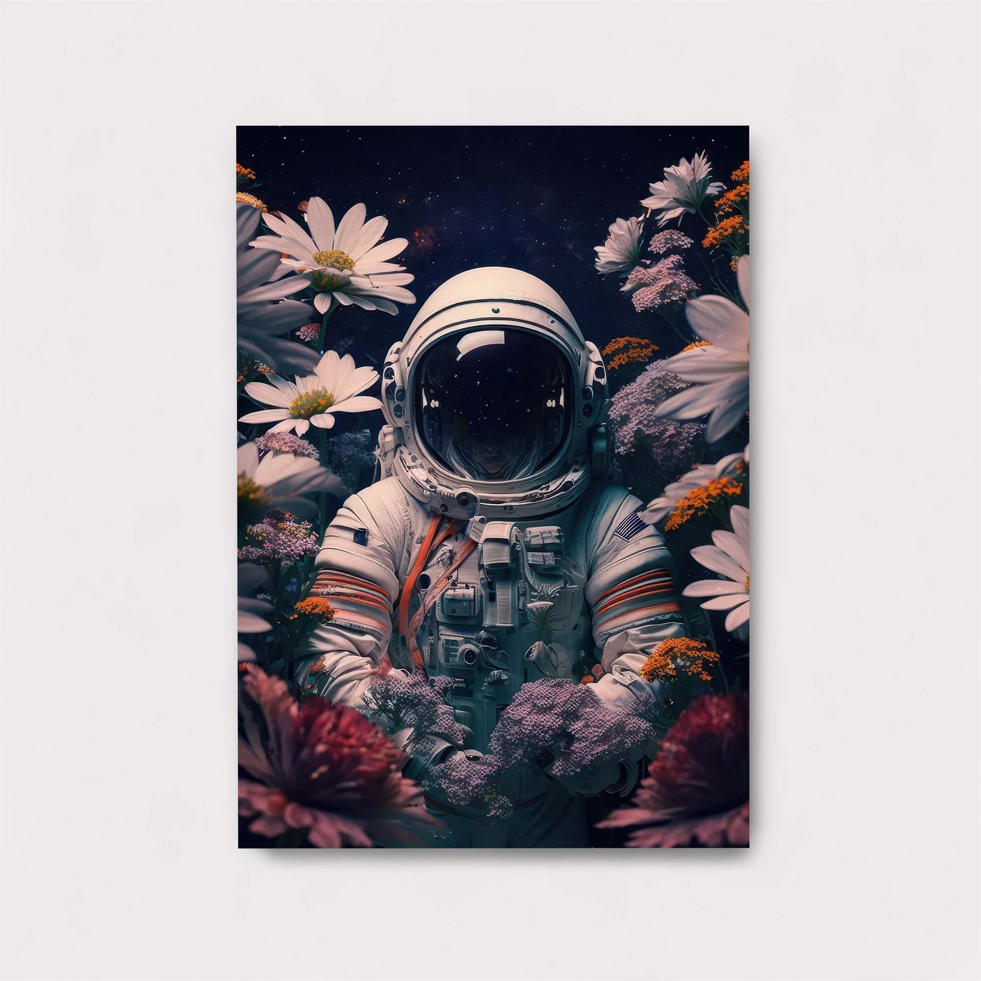 Astronaut Serenity Safe Wall Magnetic / M