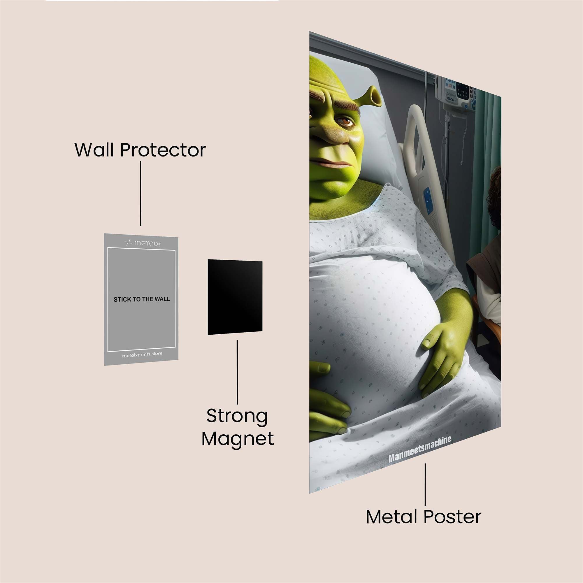 Shrek Expectant Safe Wall Magnetic / M