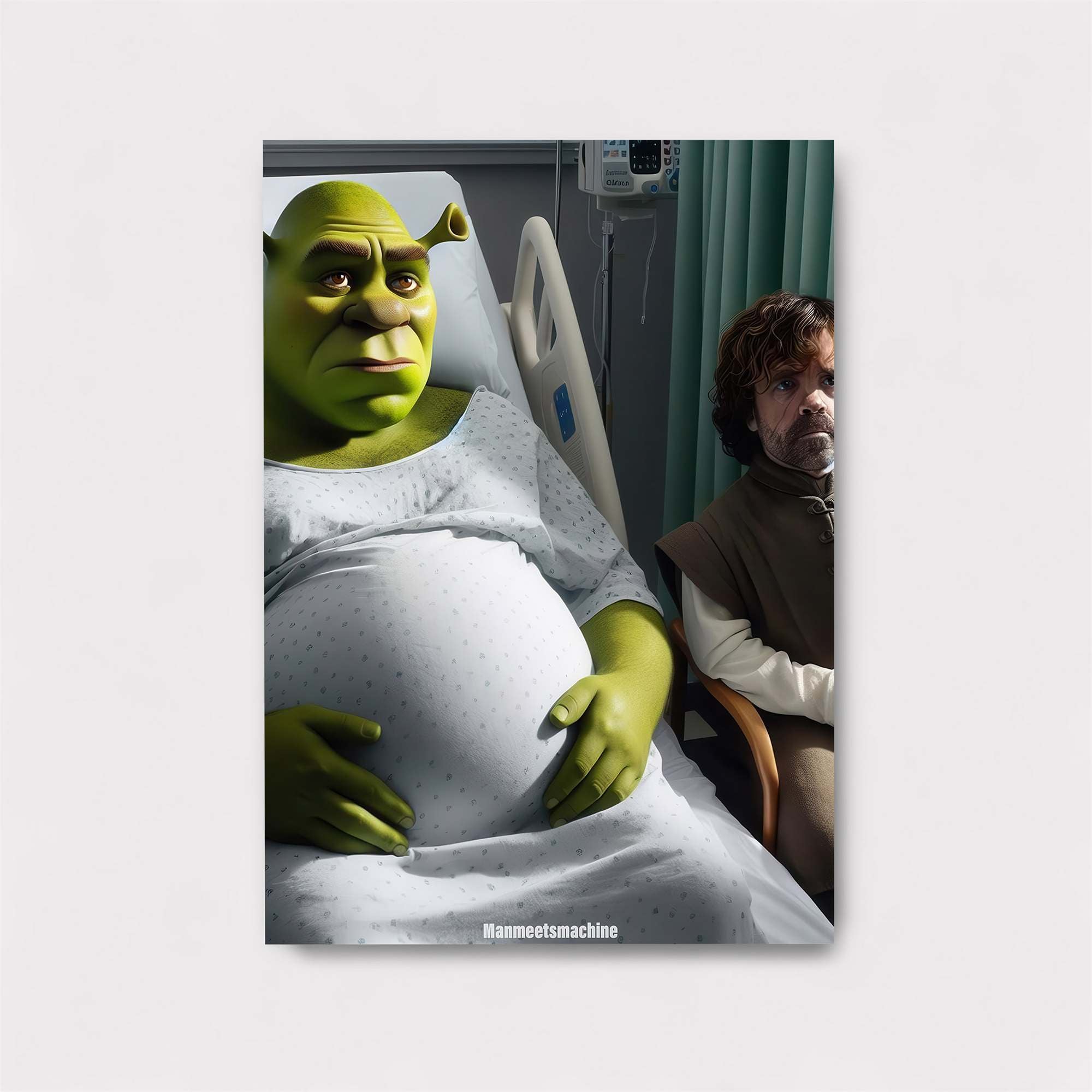 Shrek Expectant Safe Wall Magnetic / M