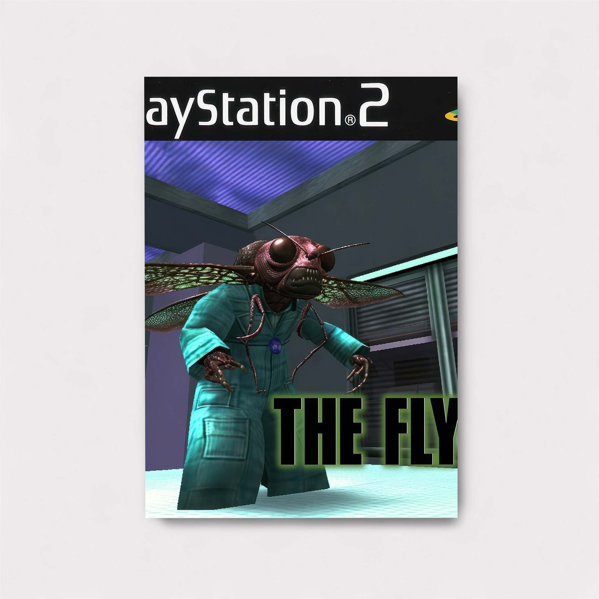 Fly Frenzy Safe Wall Magnetic / M