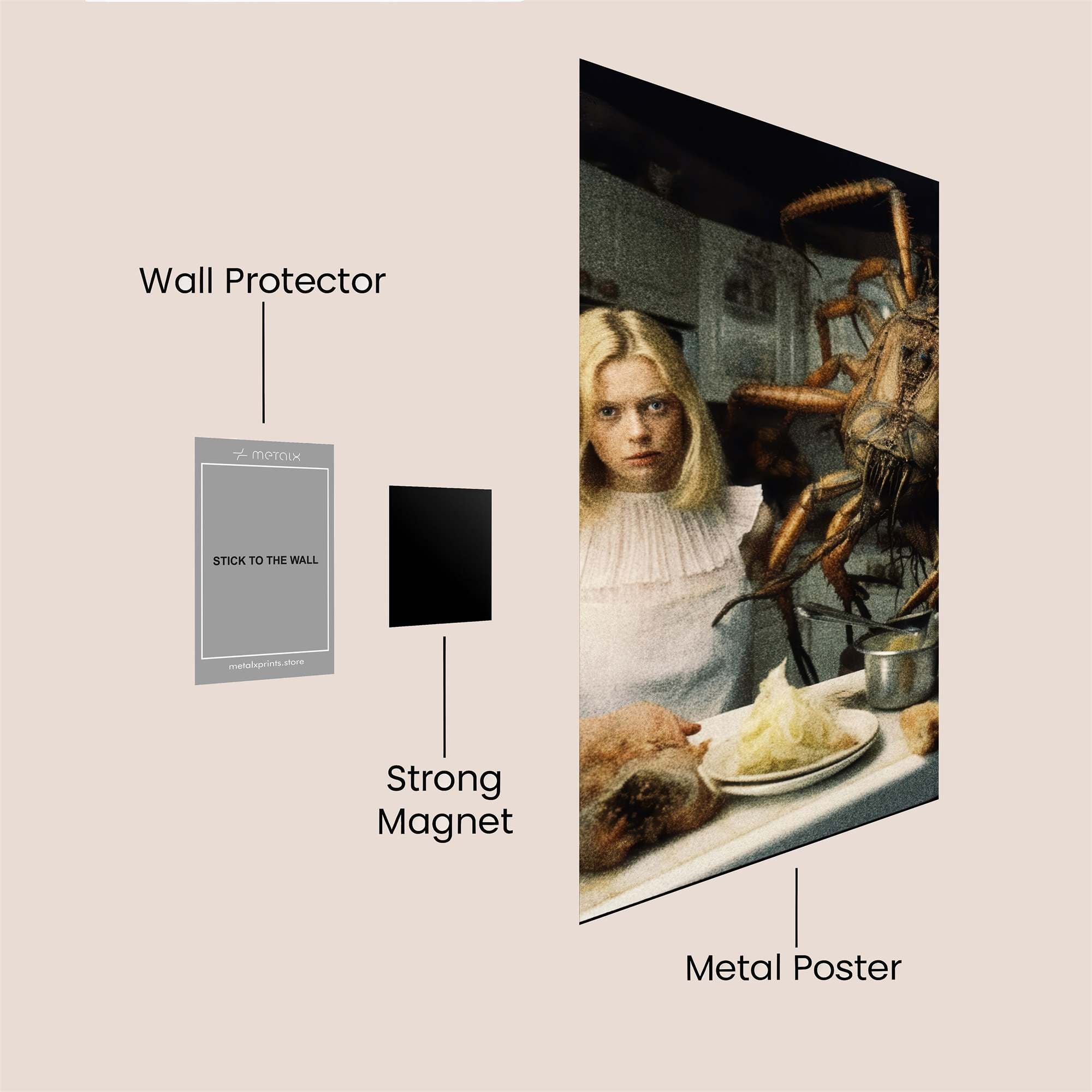 Spider Feast Safe Wall Magnetic / M