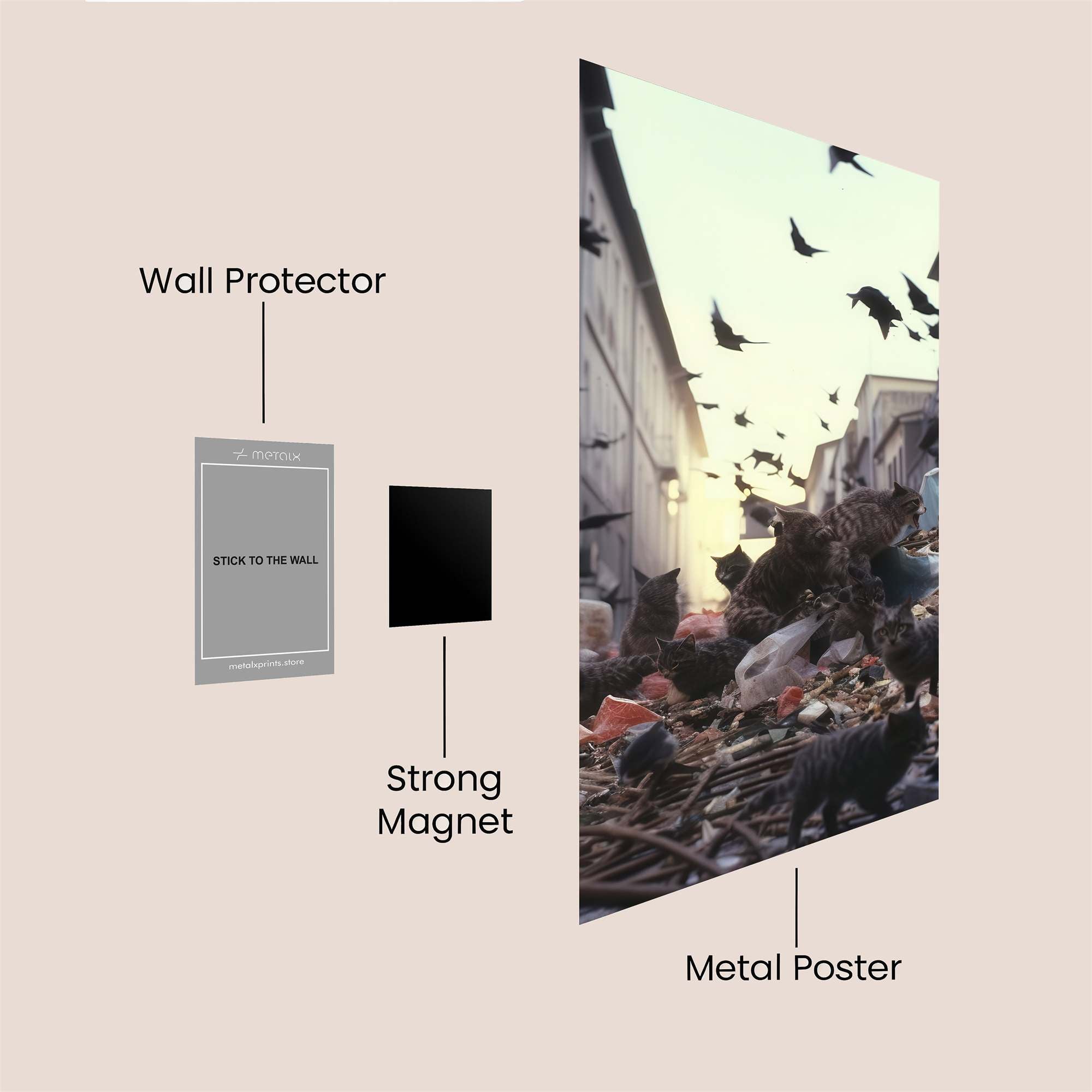 Cats Chaos Safe Wall Magnetic / M