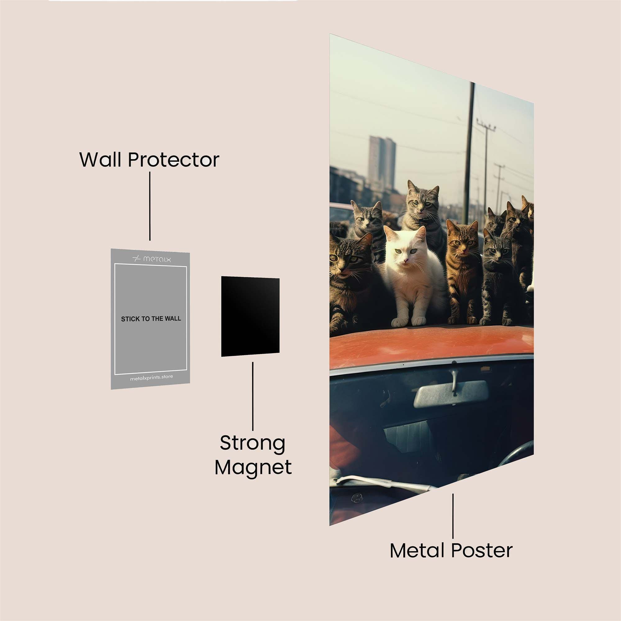 Cats Congregate Safe Wall Magnetic / M