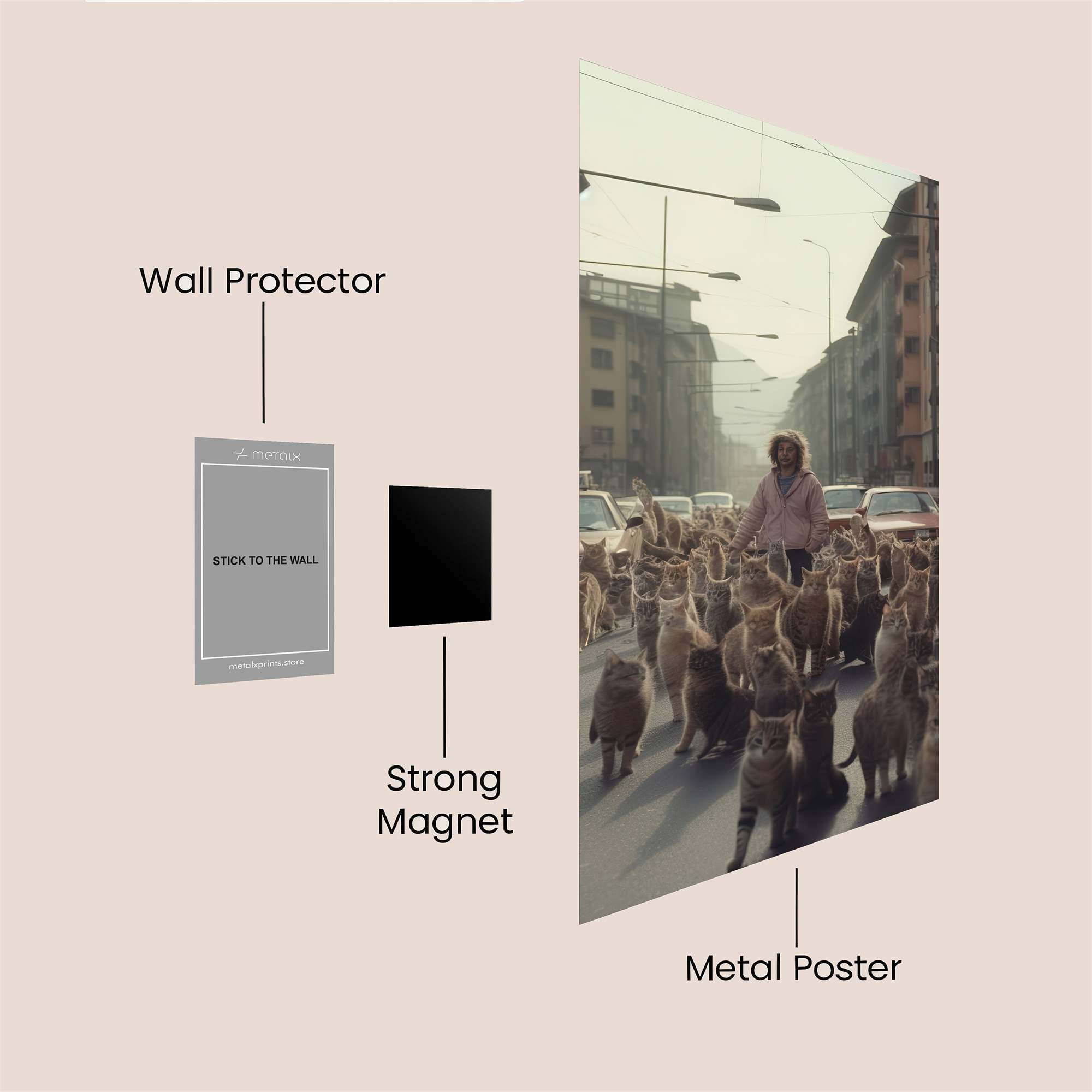 Cat Chaos Safe Wall Magnetic / M