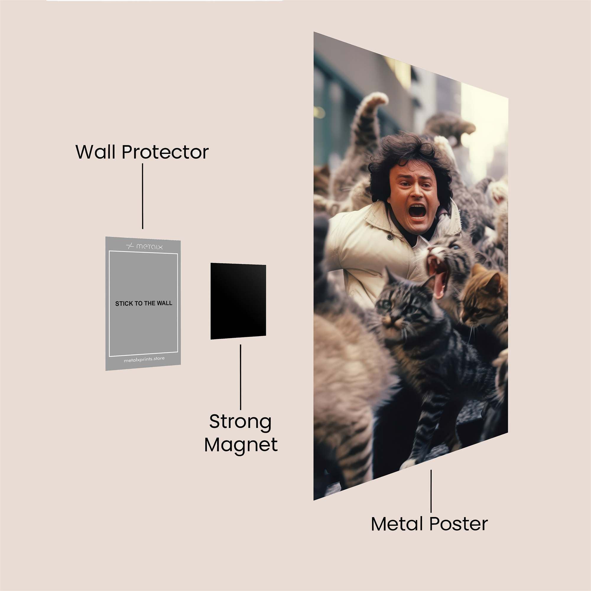 Cat Chaos Safe Wall Magnetic / M