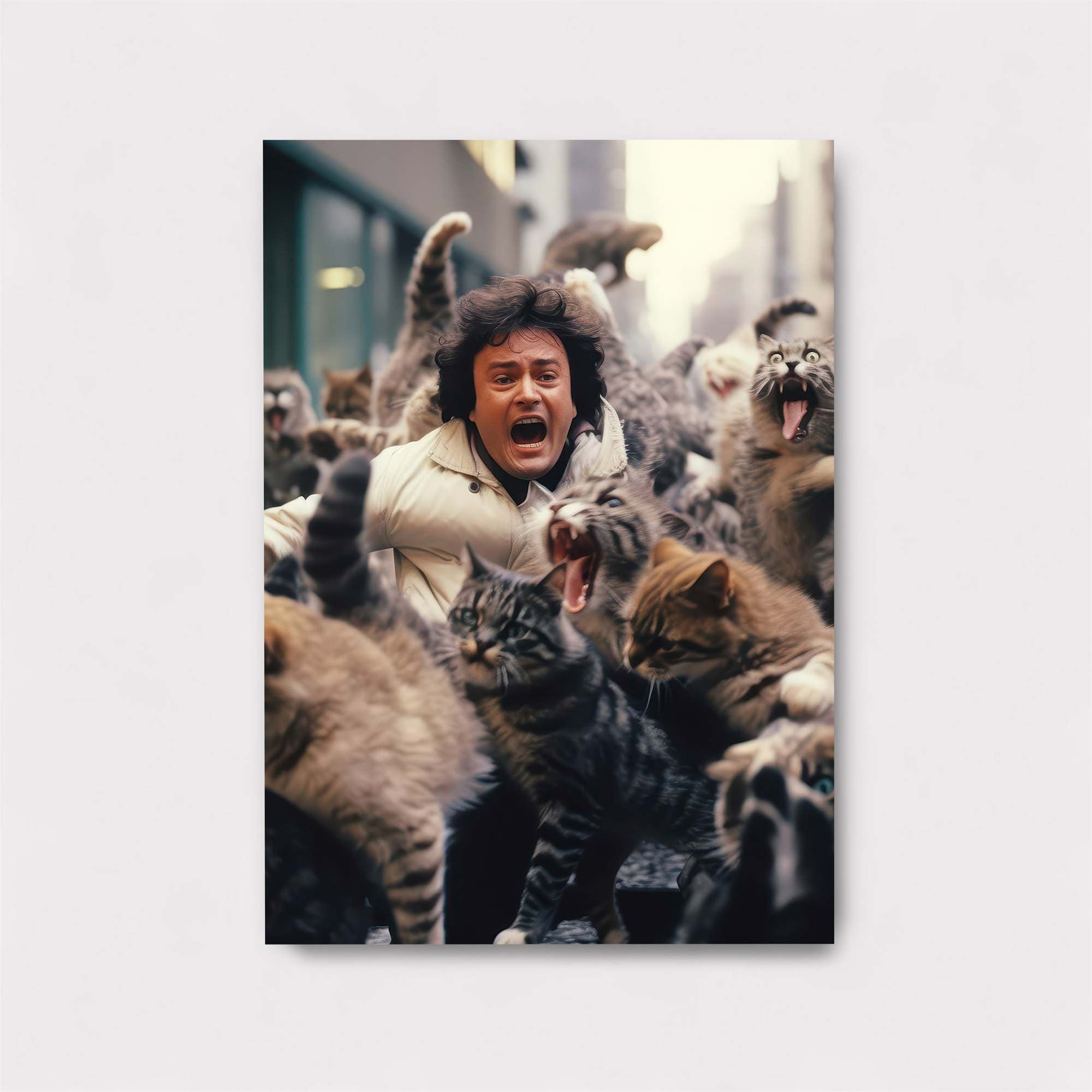 Cat Chaos Safe Wall Magnetic / M