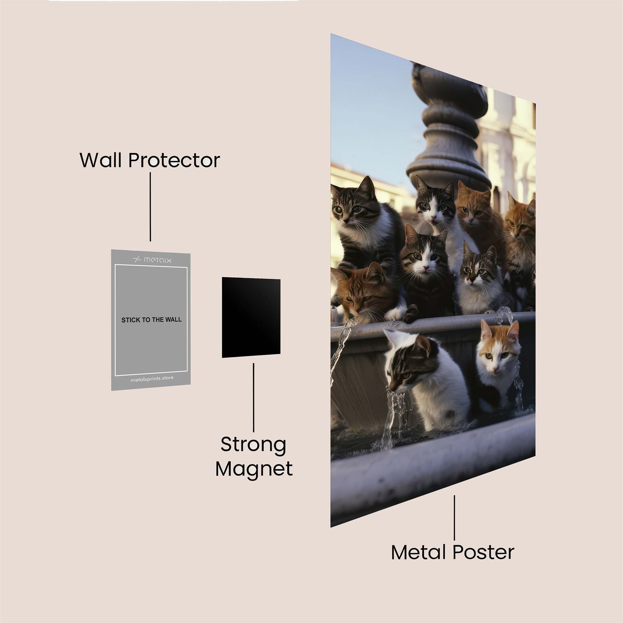 Feline Fiesta Safe Wall Magnetic / M