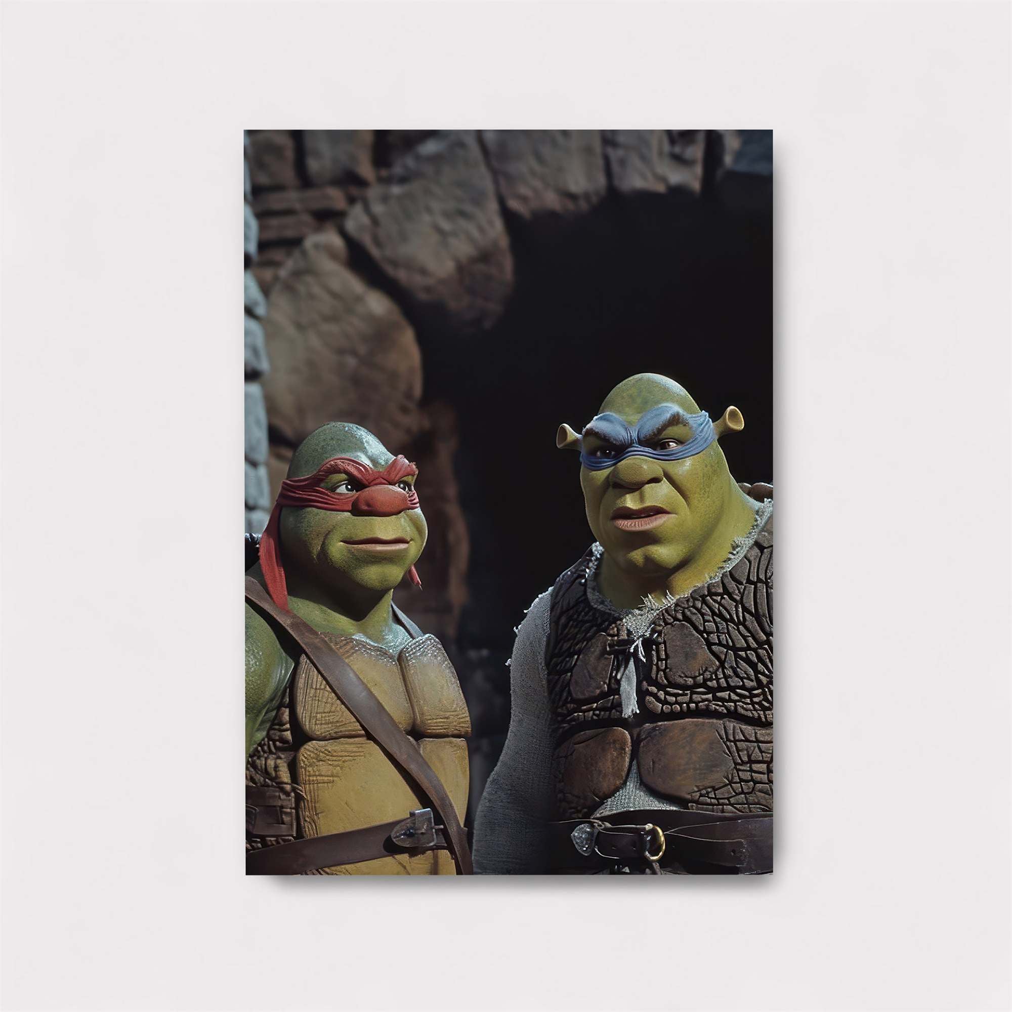 Turtles Shrekventure Safe Wall Magnetic / M