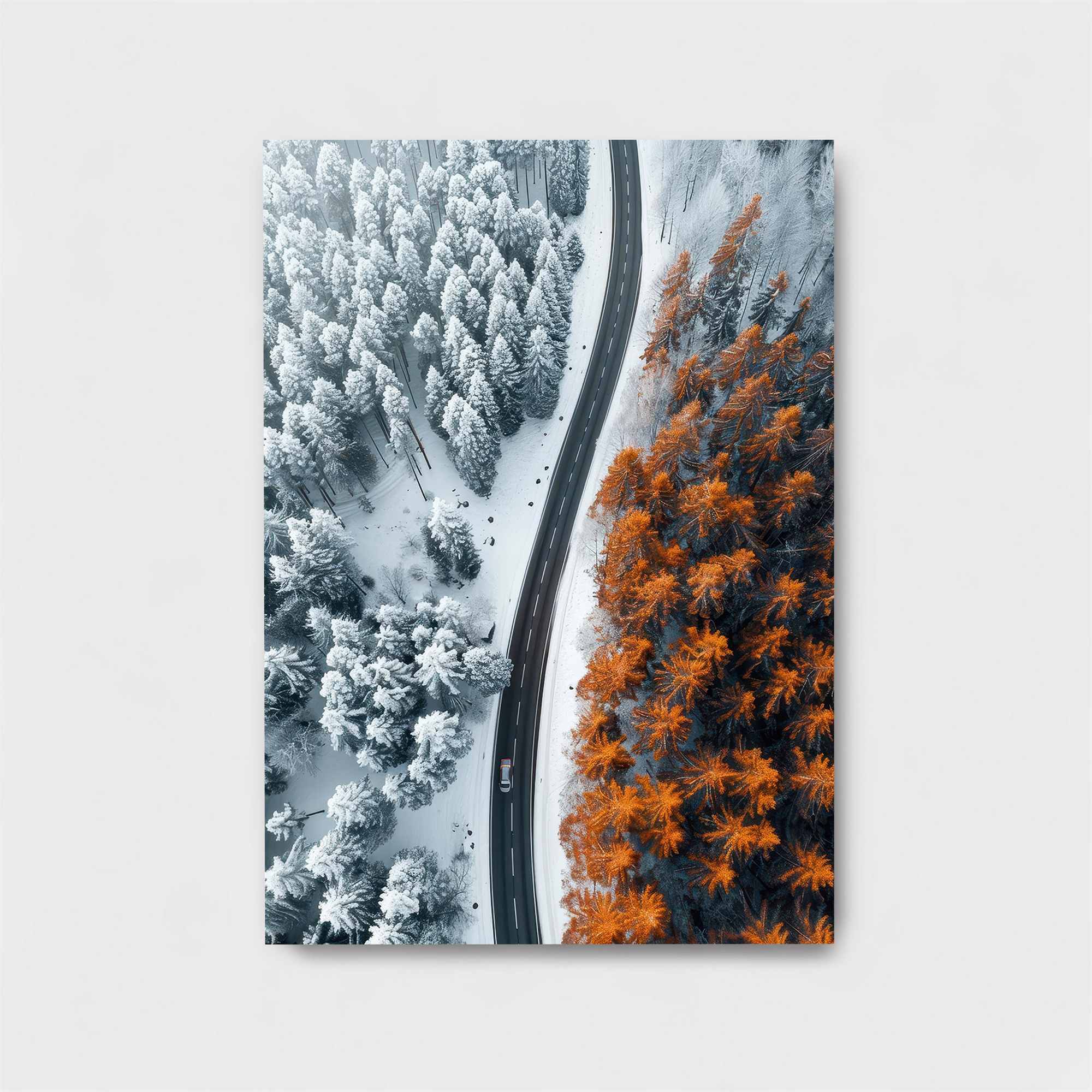 Seasonal Split Safe Wall Magnetic / M