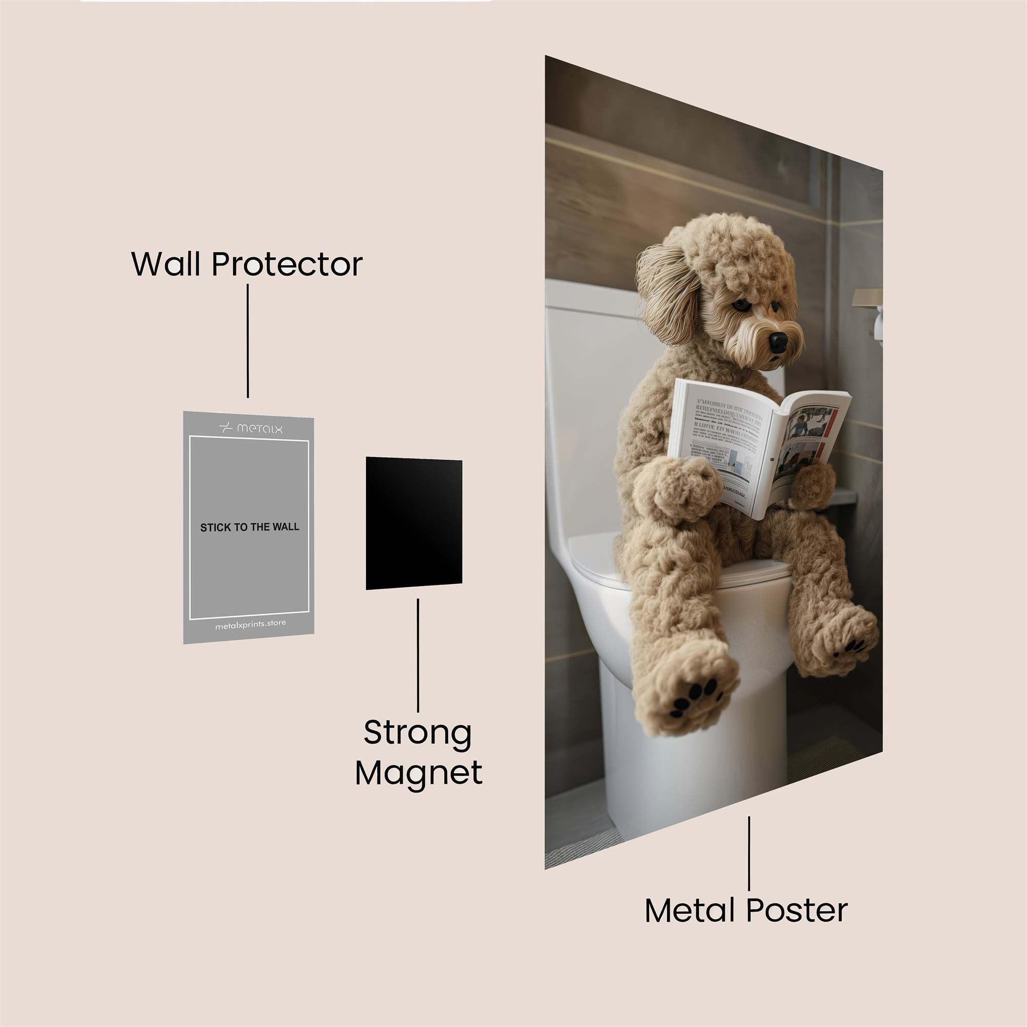 Poodle Ponder Safe Wall Magnetic / M