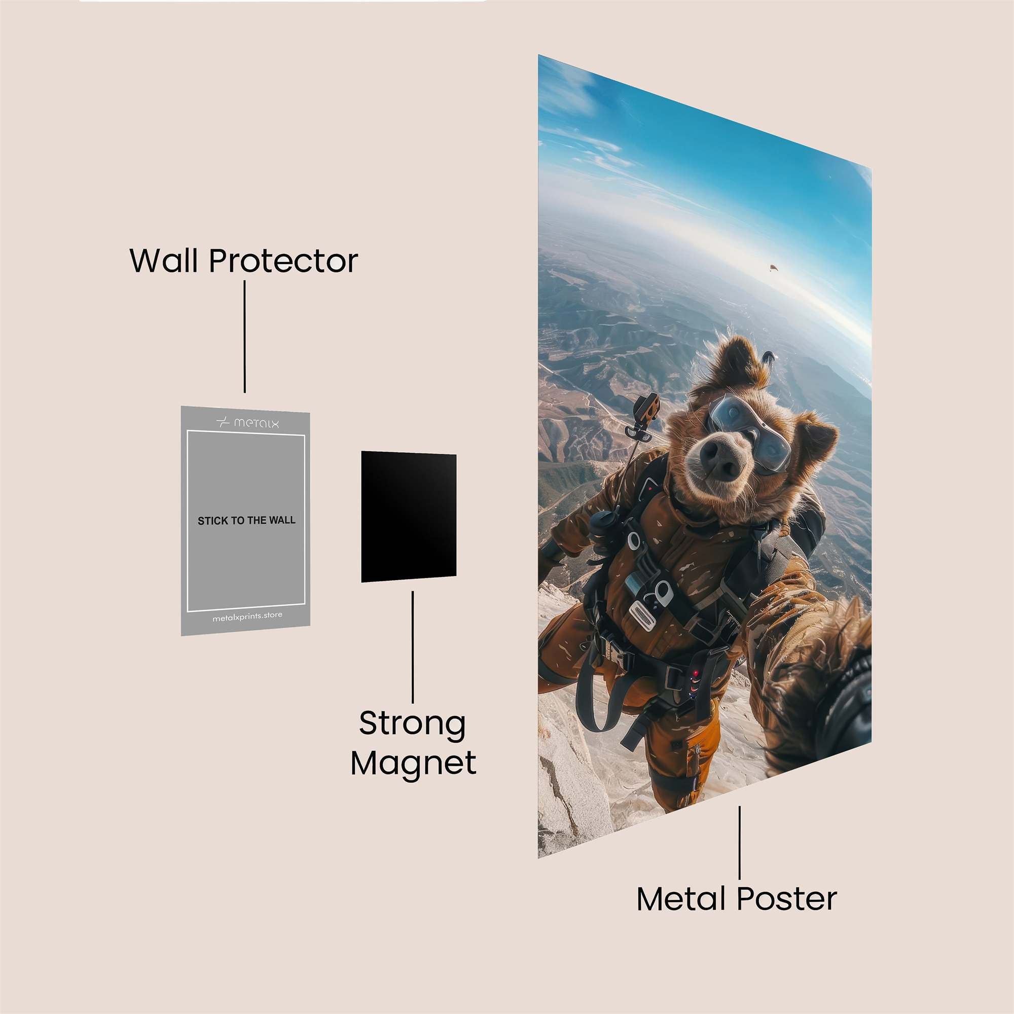 Bear Adventure Safe Wall Magnetic / M