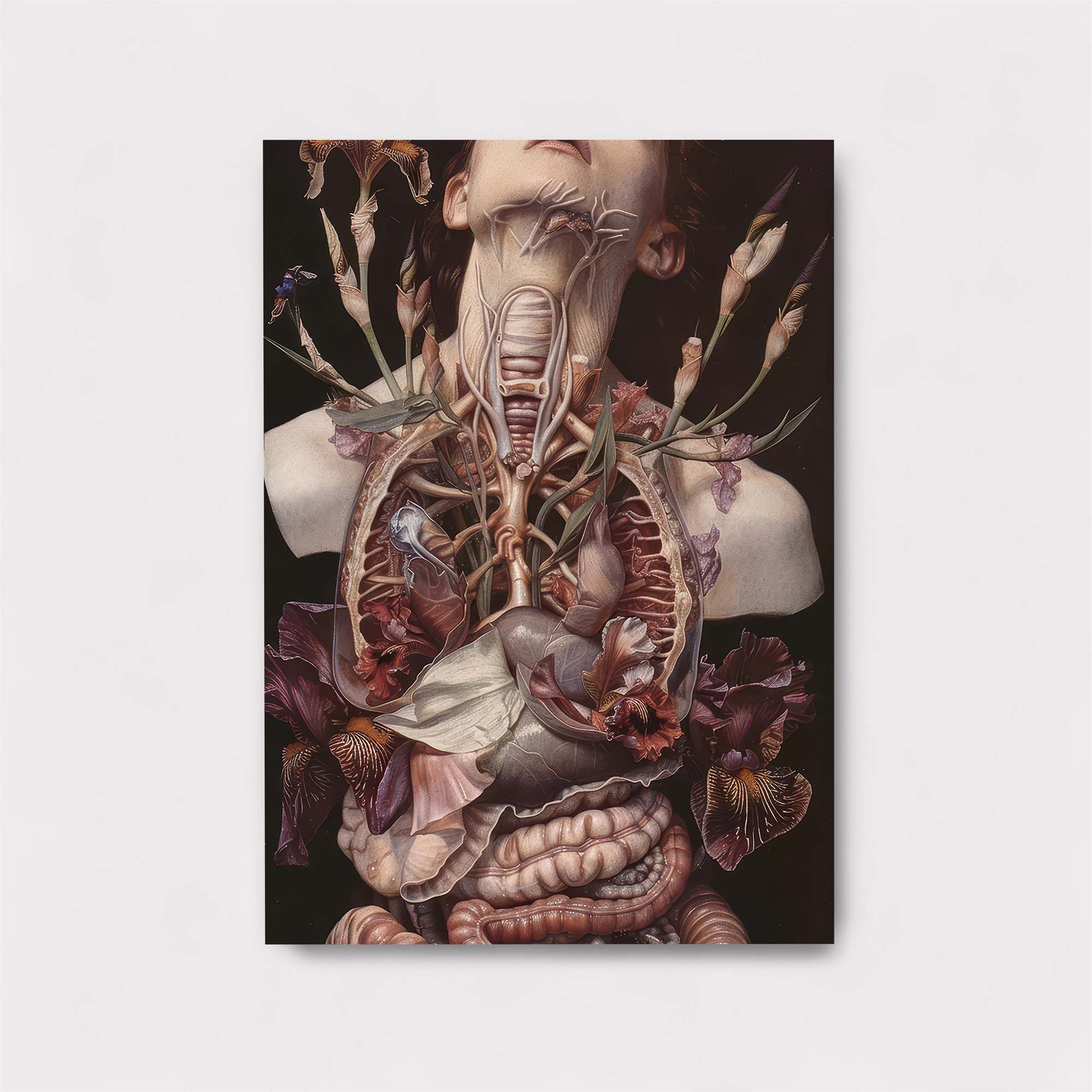 Floral Anatomy Safe Wall Magnetic / M