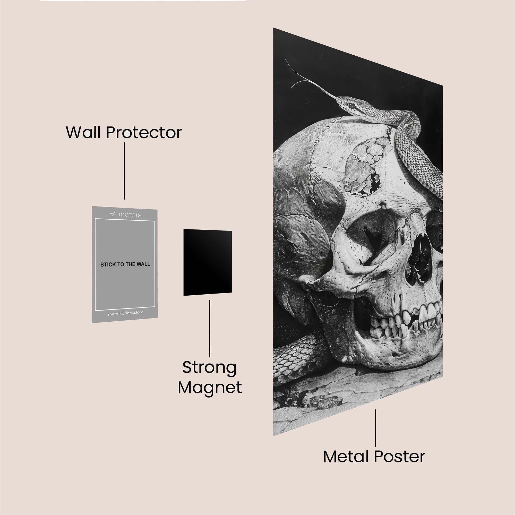 Skull Serpentine Safe Wall Magnetic / M