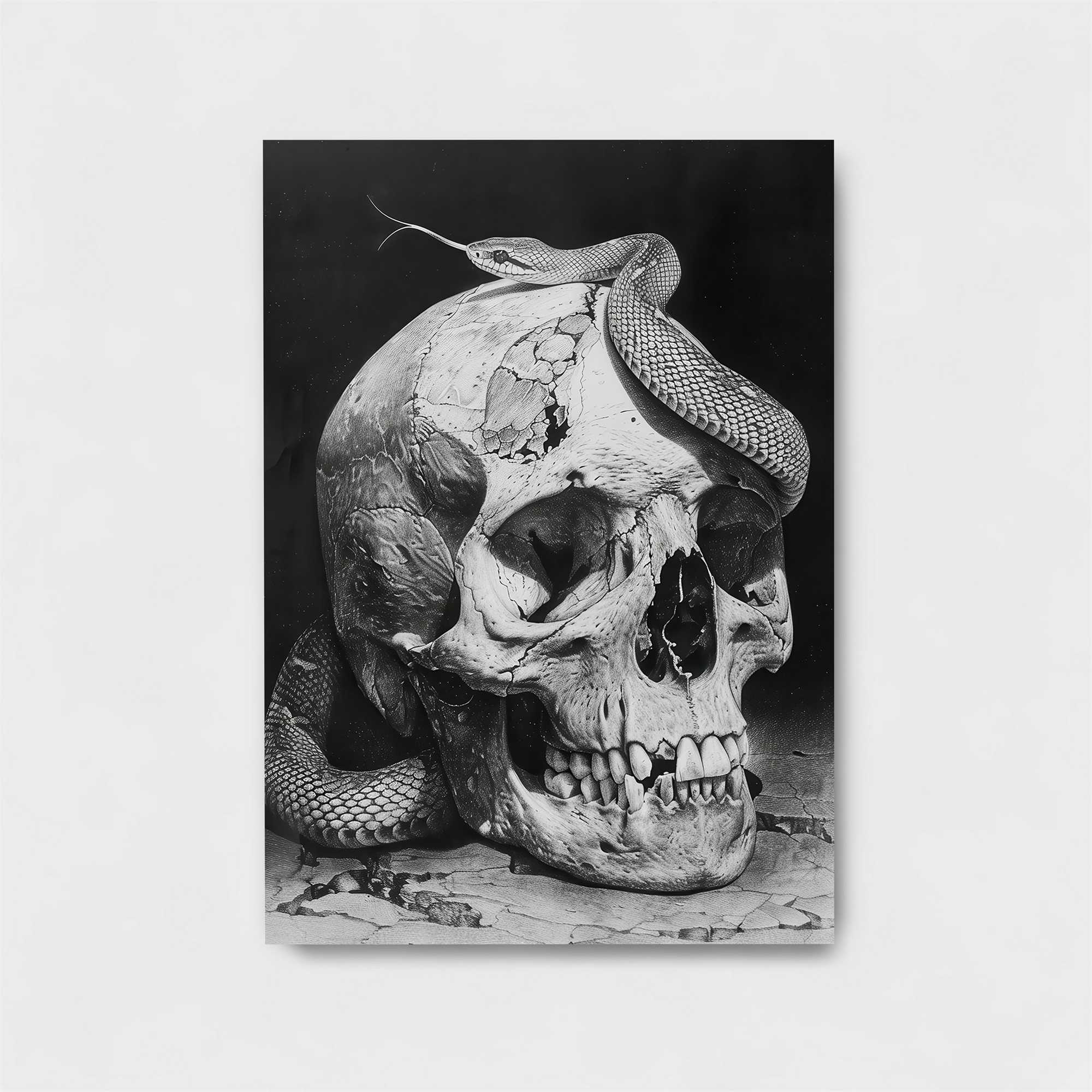 Skull Serpentine Safe Wall Magnetic / M