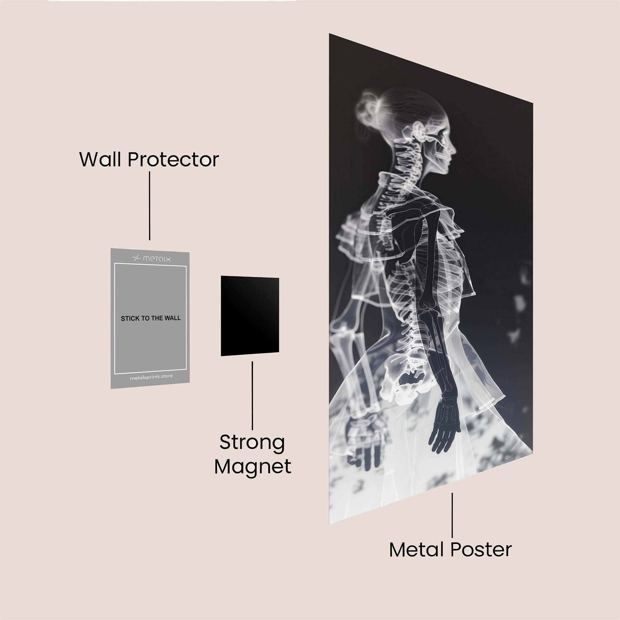 Skeleton Elegance Safe Wall Magnetic / M