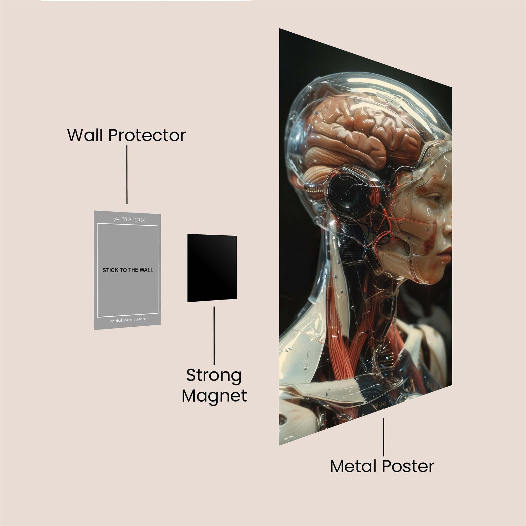 Mind Unveiled Safe Wall Magnetic / M