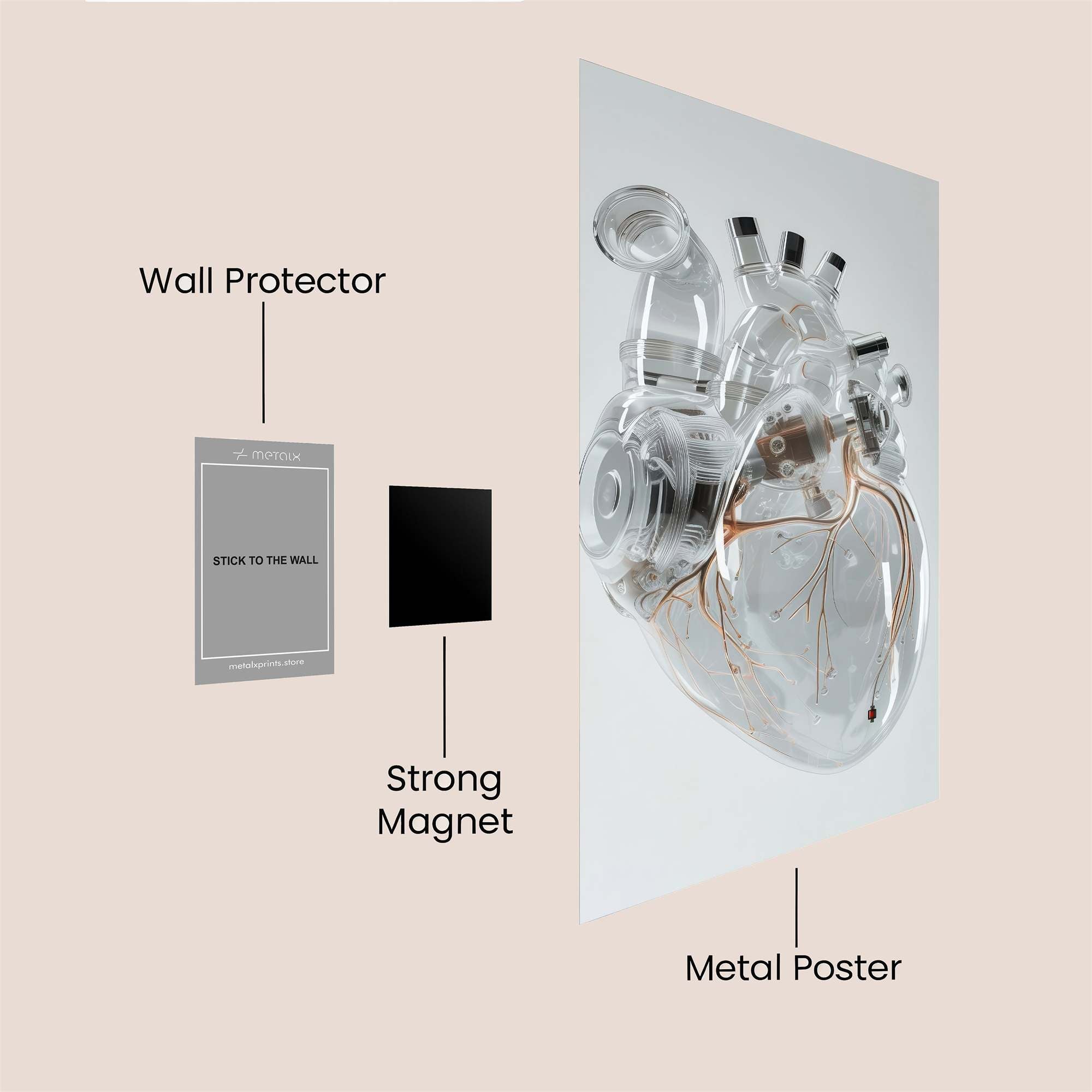Heart Transparent Safe Wall Magnetic / M