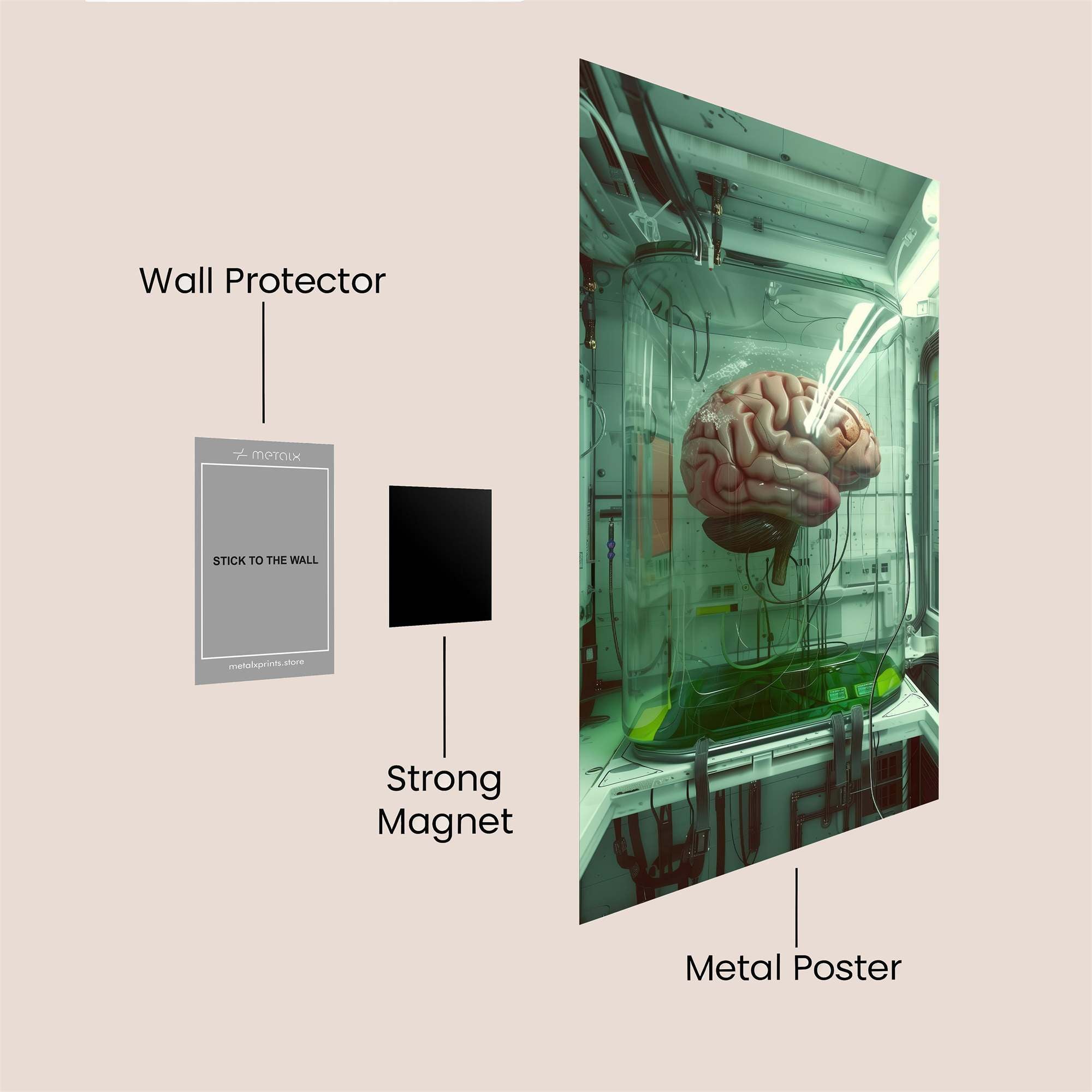 Brain Sanctuary Safe Wall Magnetic / M