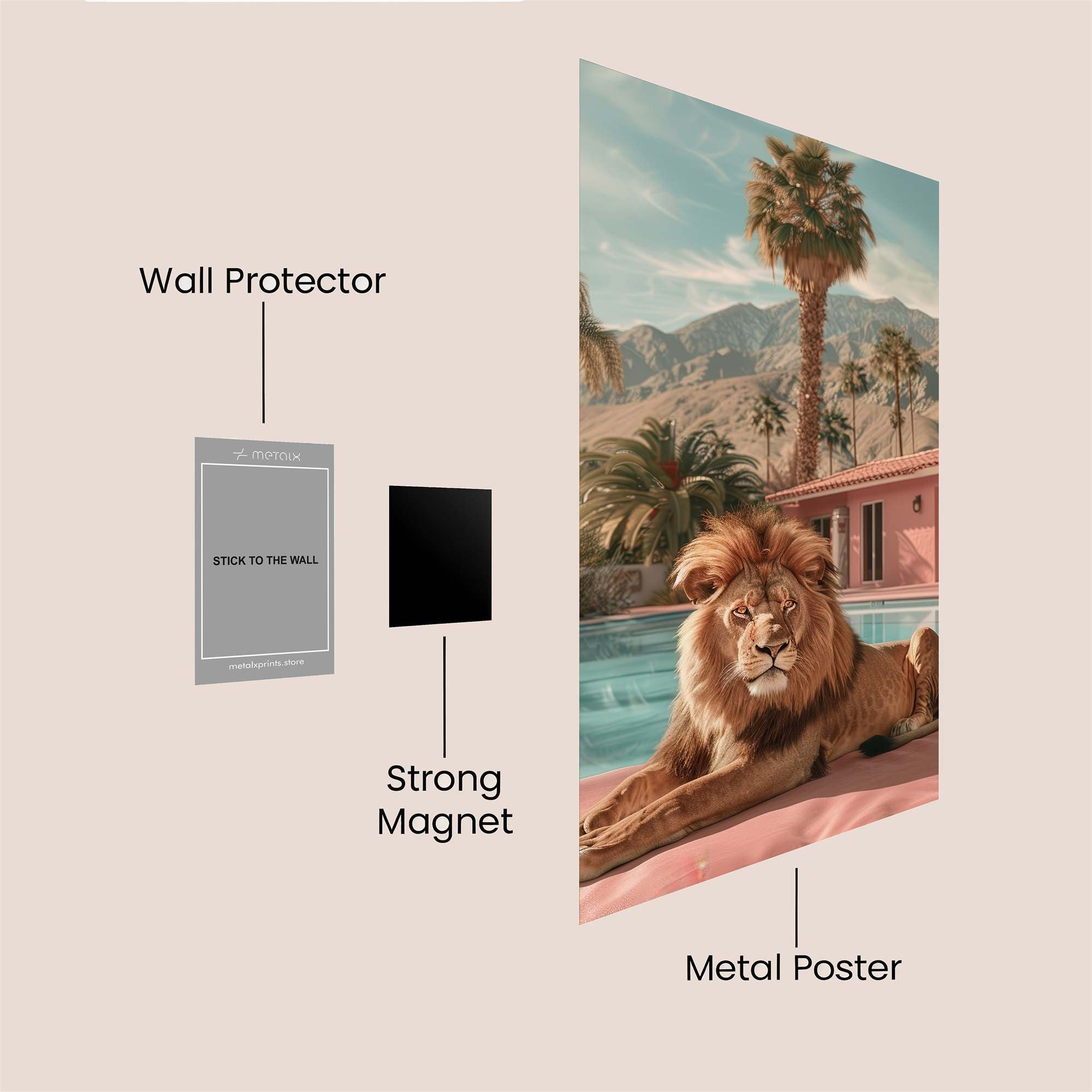 Lion Leisure Safe Wall Magnetic / M