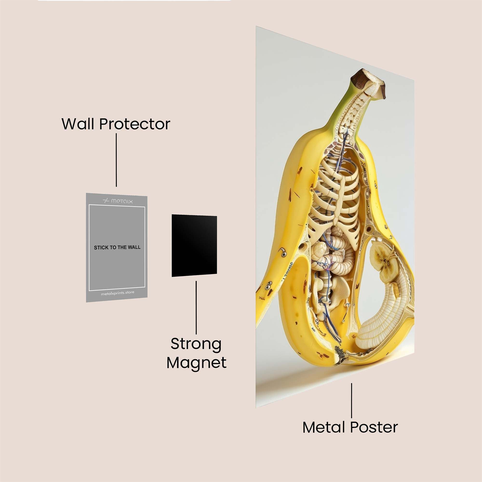 Banana Anatomy Safe Wall Magnetic / M