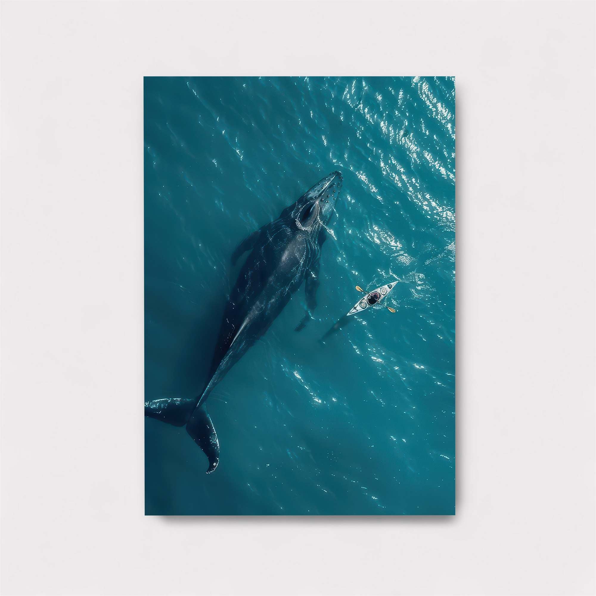Whale Serenity Safe Wall Magnetic / M