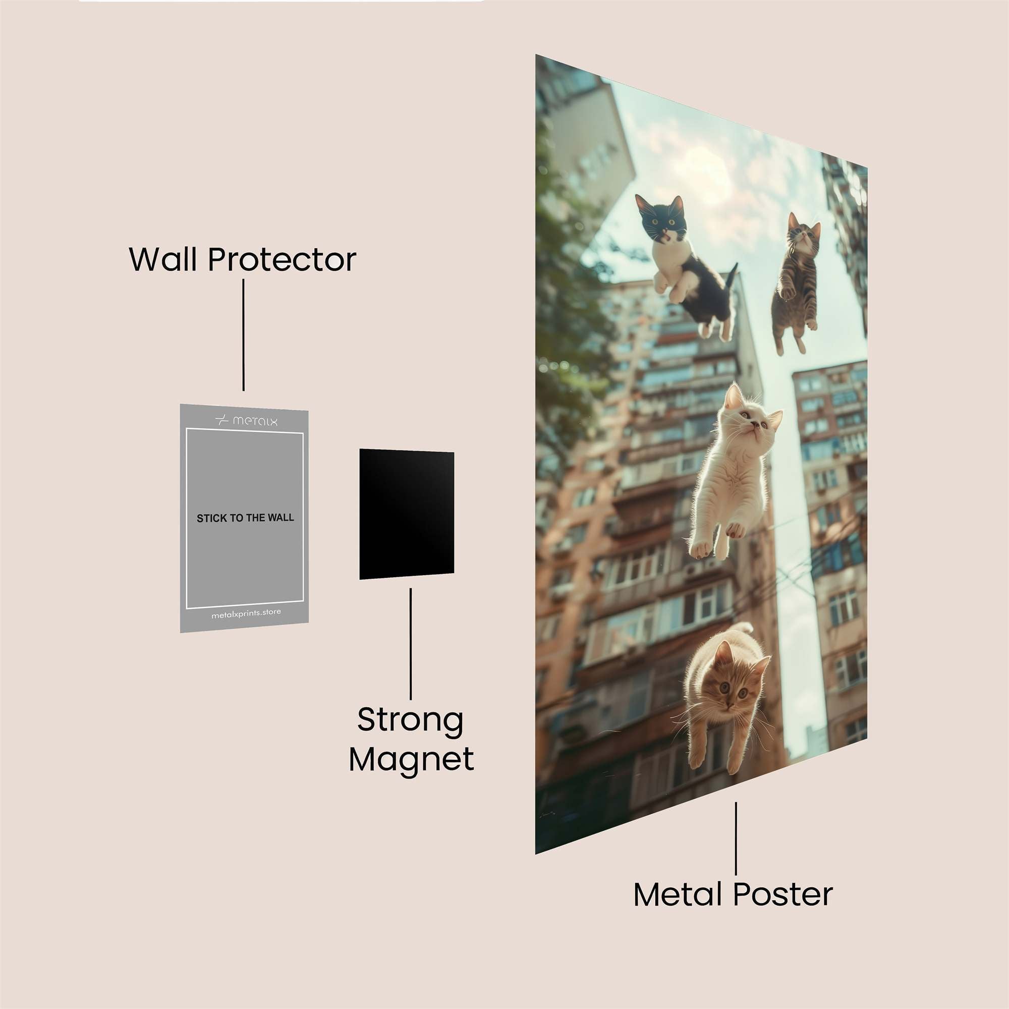 Cats Leap Safe Wall Magnetic / M