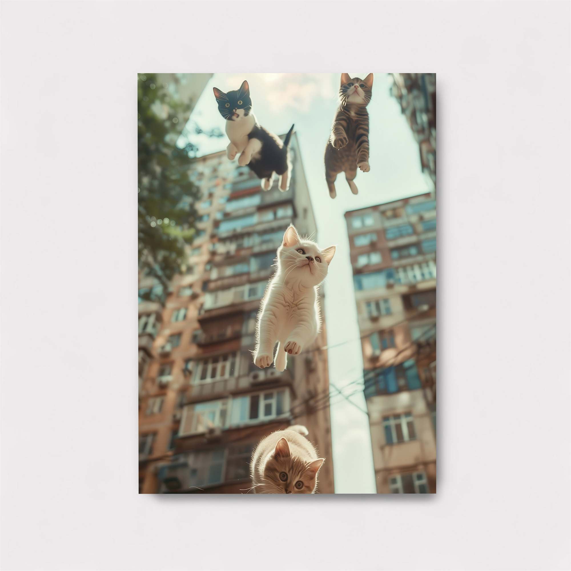 Cats Leap Safe Wall Magnetic / M