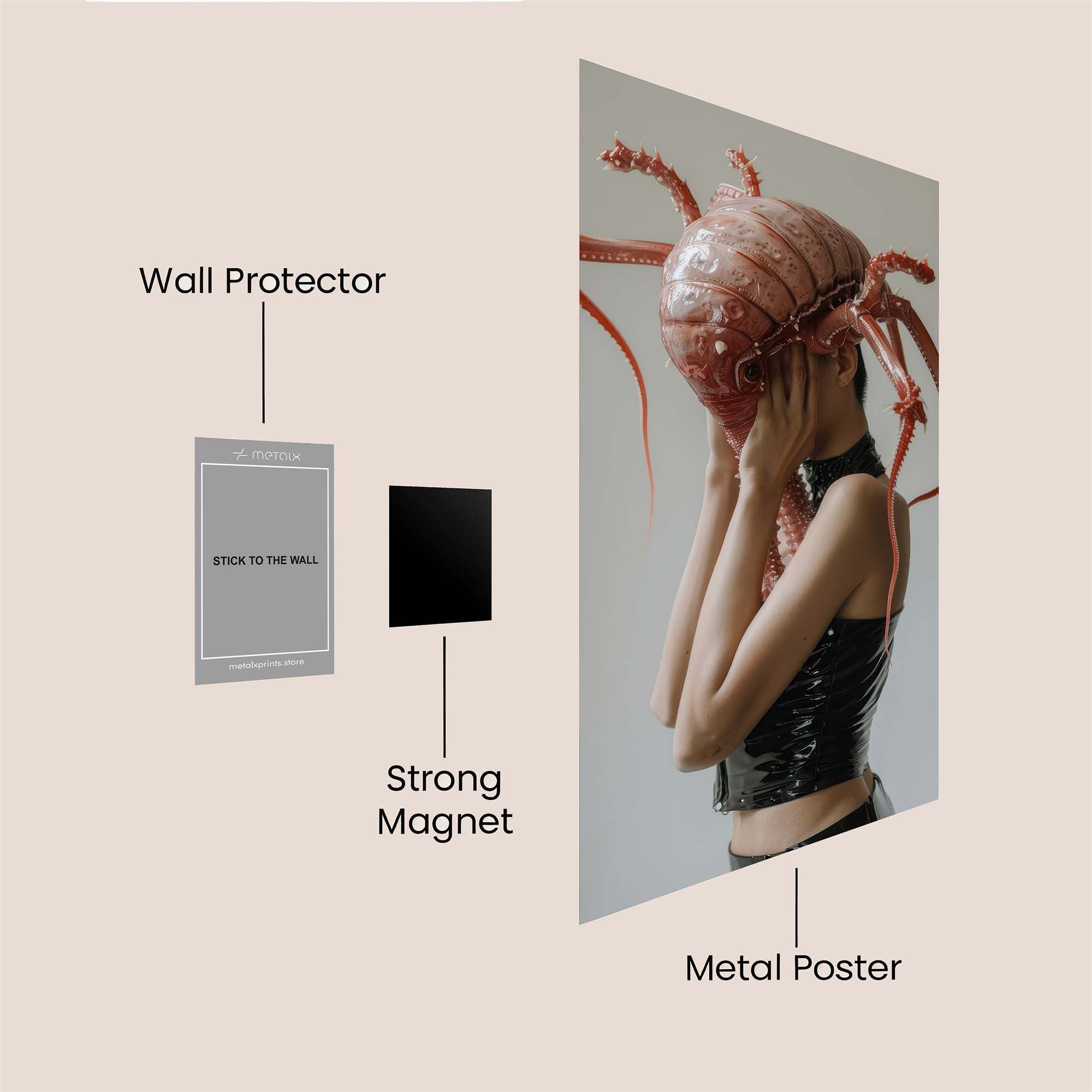 Arachnid Angst Safe Wall Magnetic / M