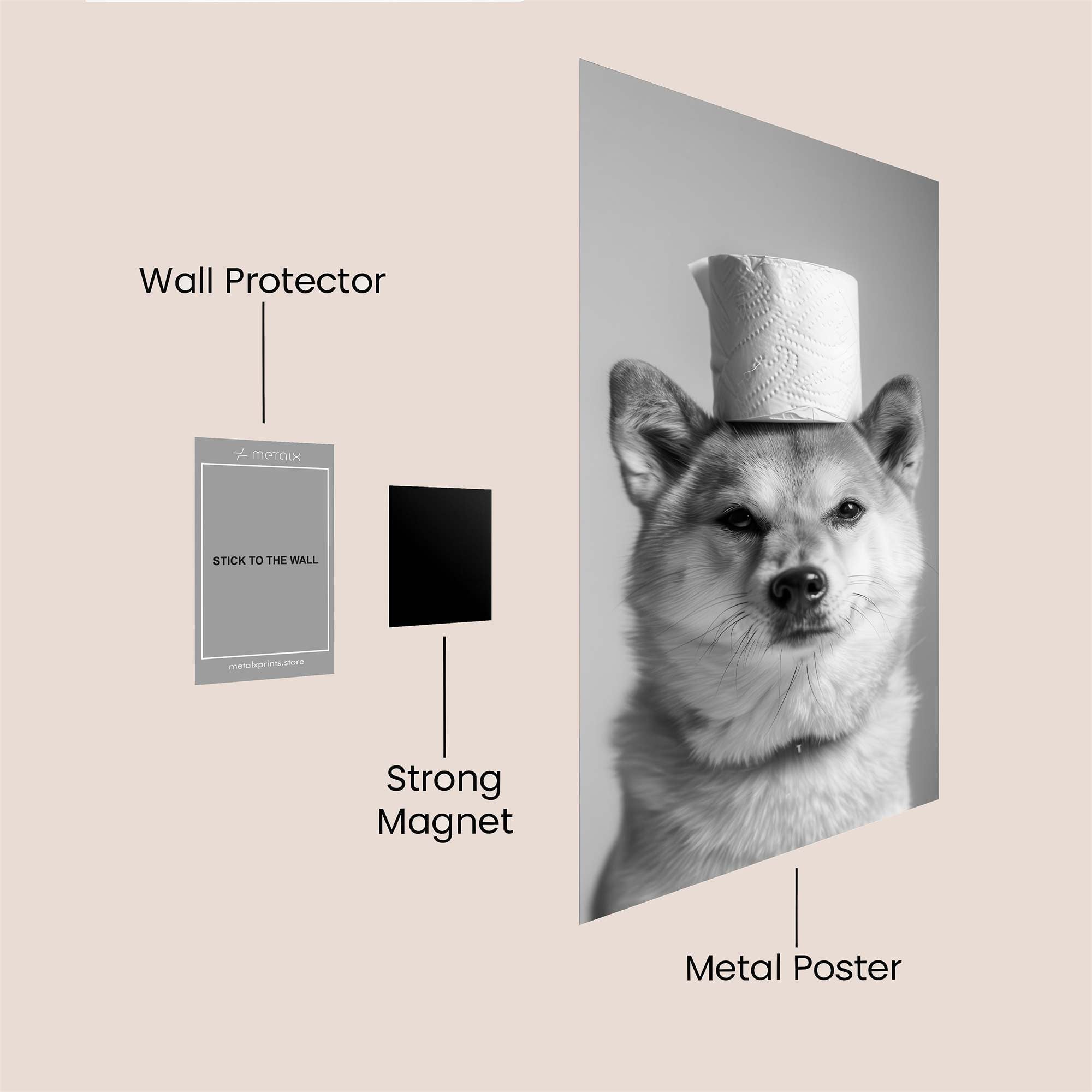 Shiba Toilet Safe Wall Magnetic / M
